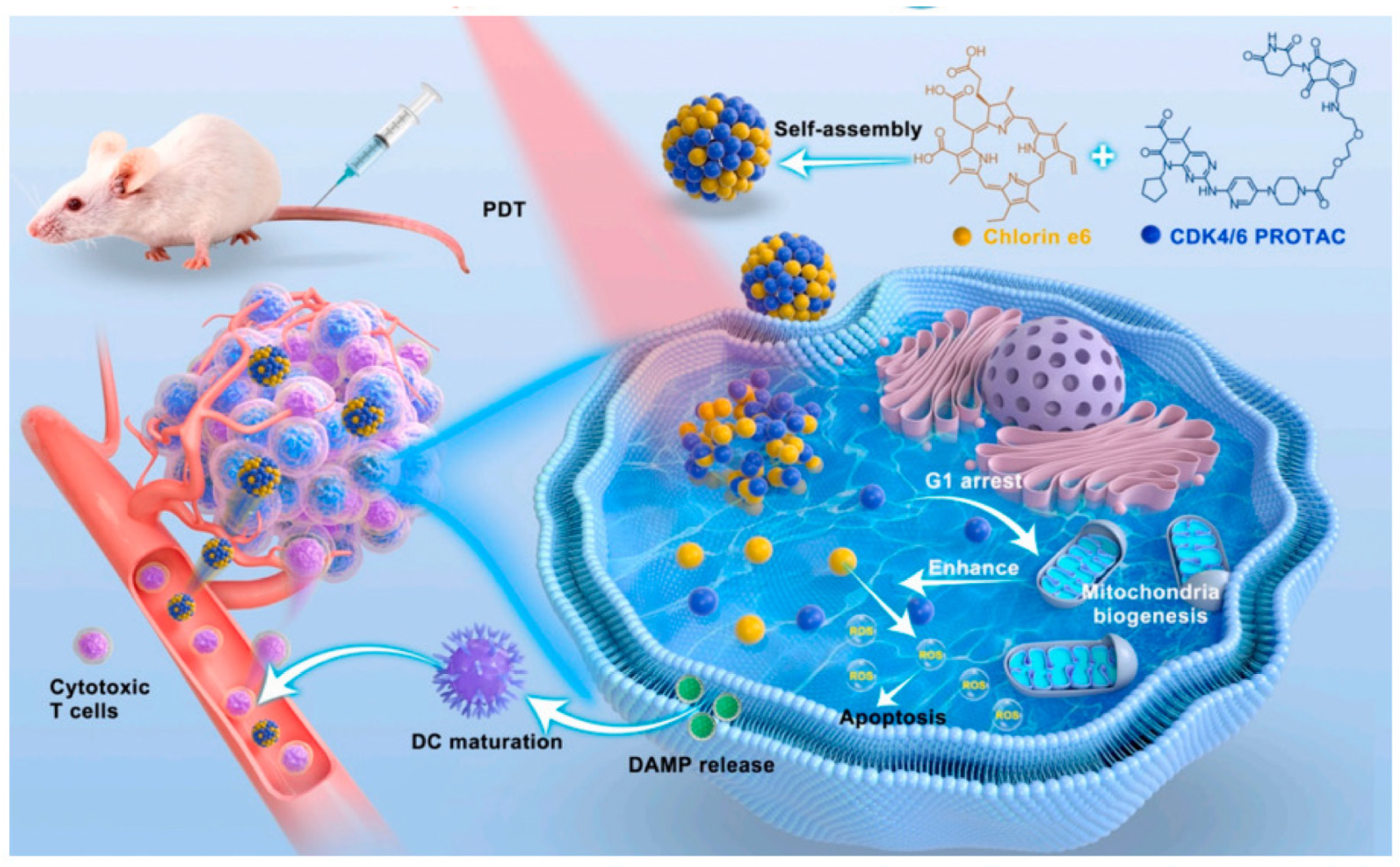 Nanomaterials 14 00648 g003