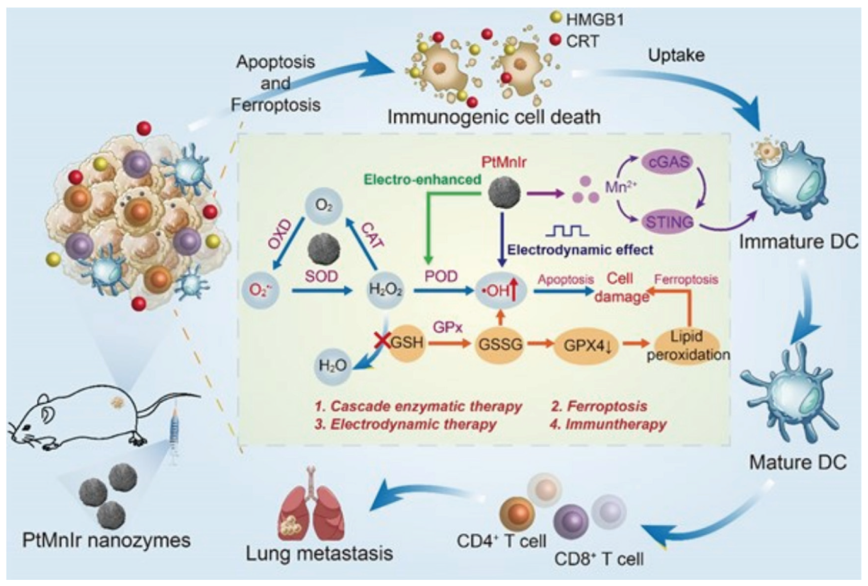 Nanomaterials 14 00648 g005