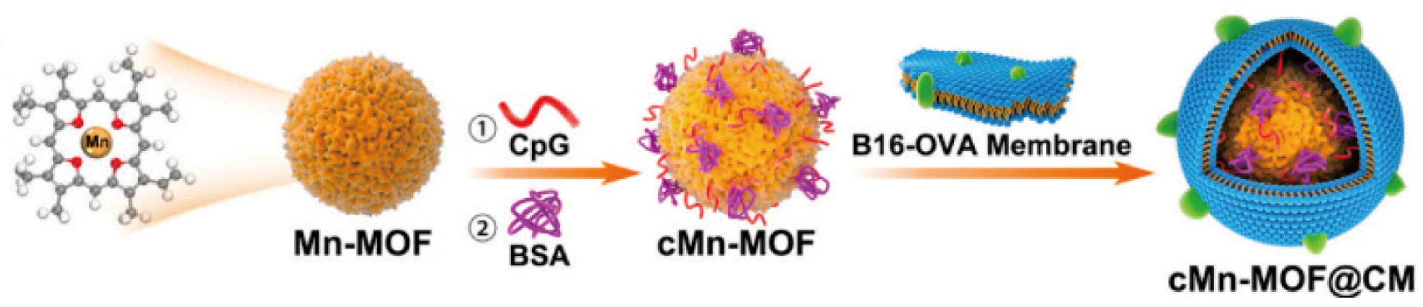 Nanomaterials 14 00648 g007
