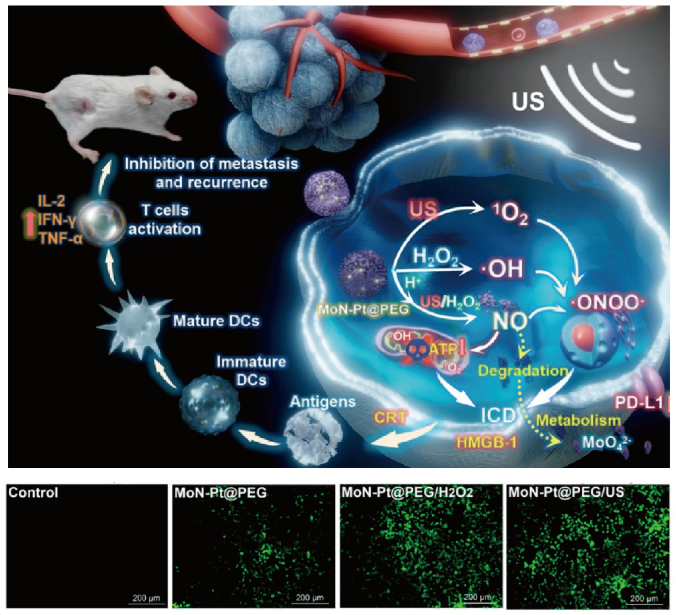 Nanomaterials 14 00648 g008