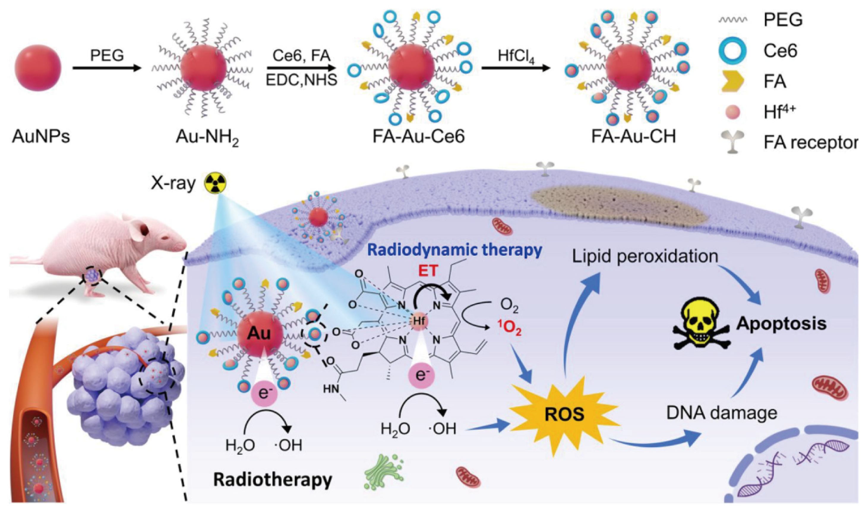 Nanomaterials 14 00648 g009