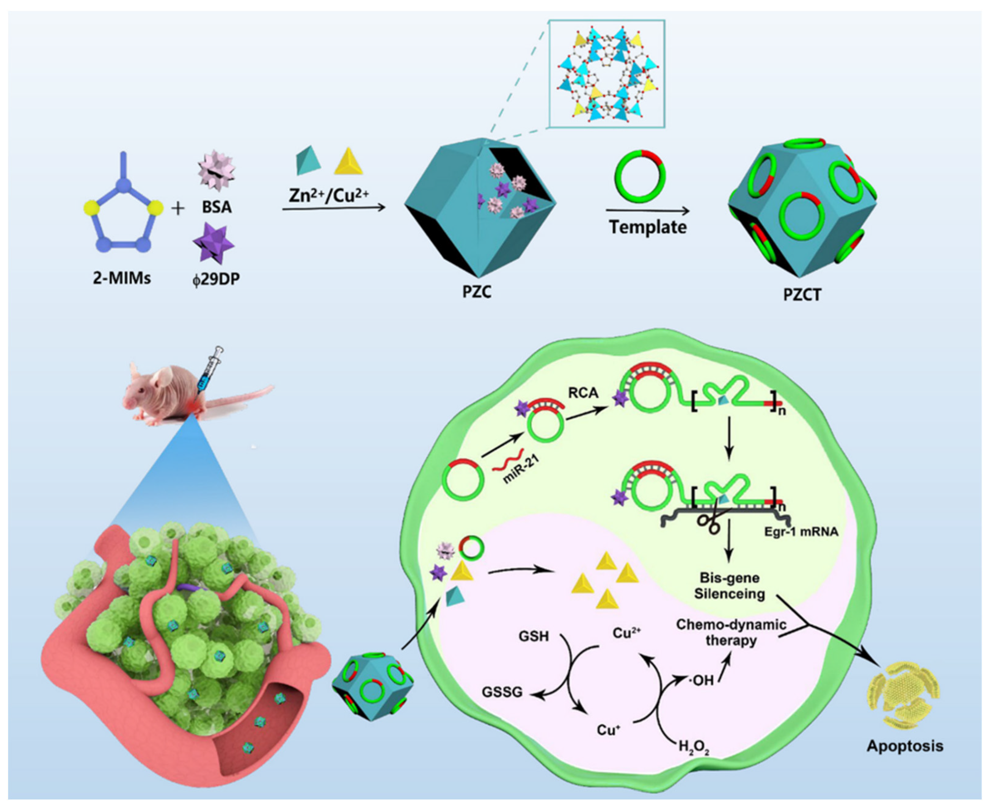 Nanomaterials 14 00648 g012
