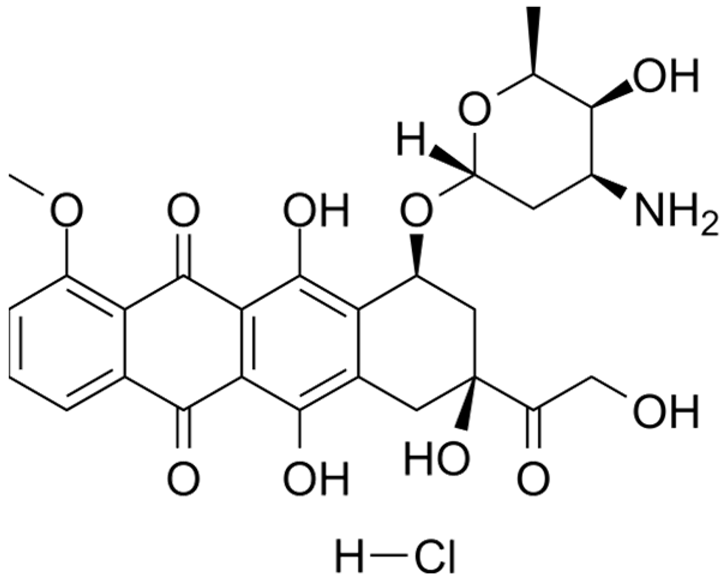 Nanomaterials 14 00648 i004