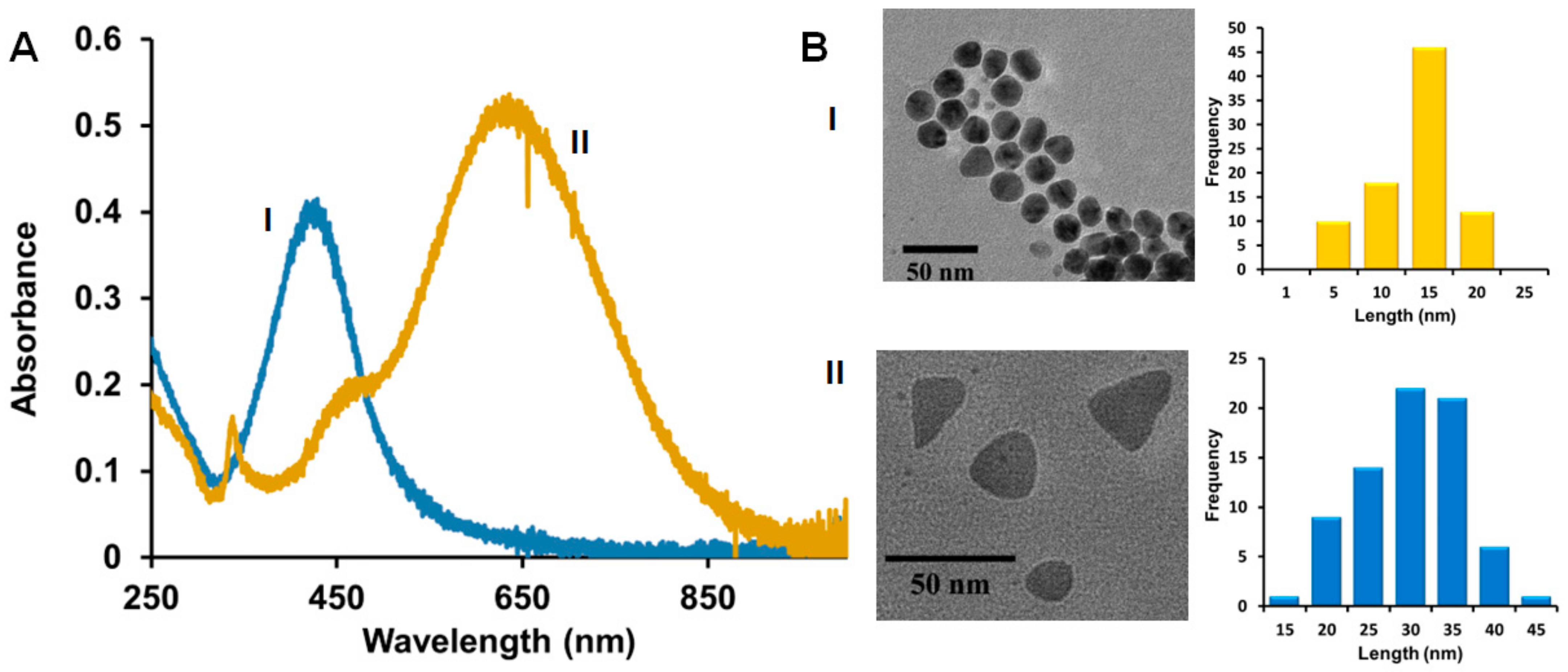 Nanomaterials 14 00654 g001