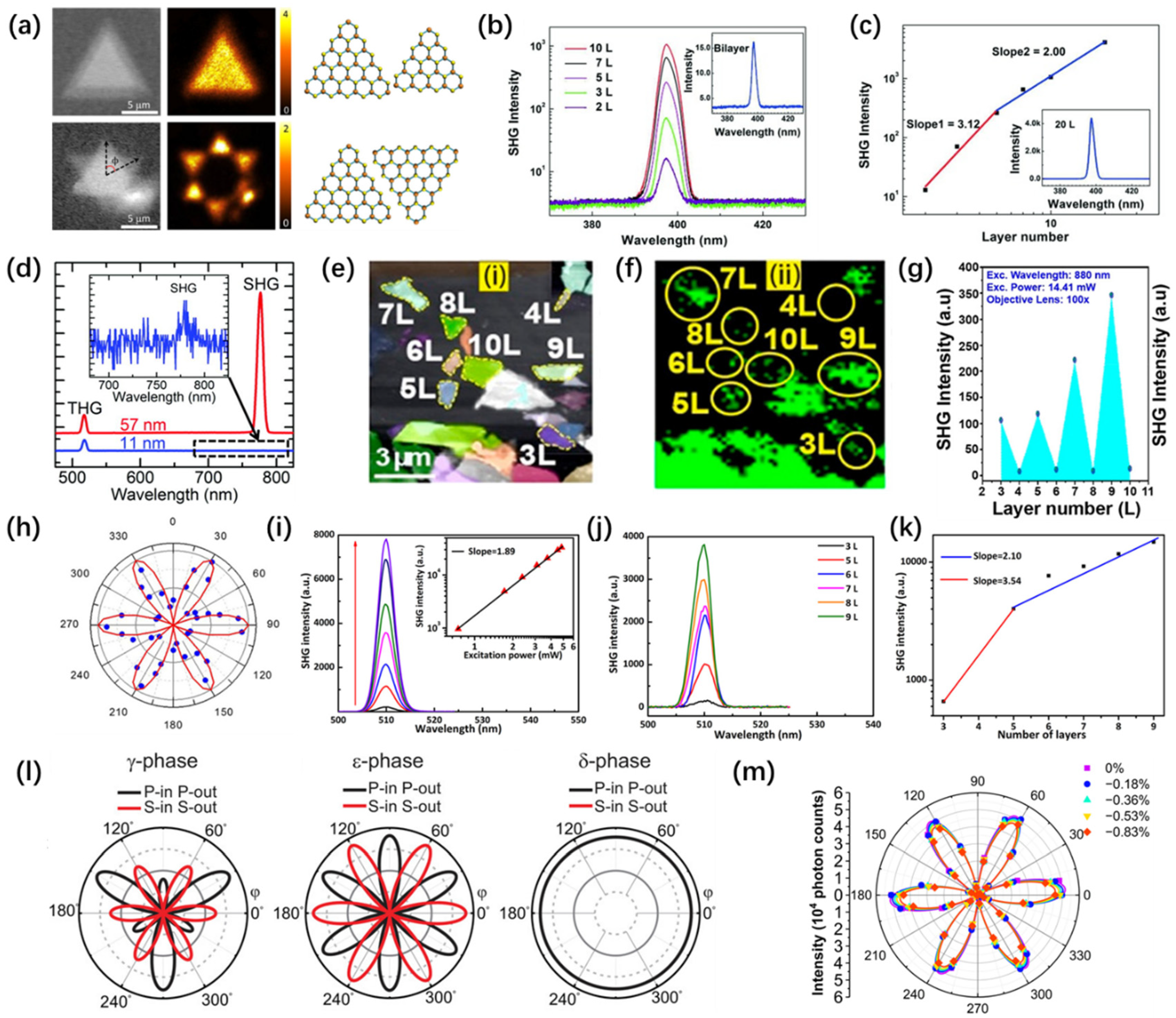 Nanomaterials 14 00662 g007