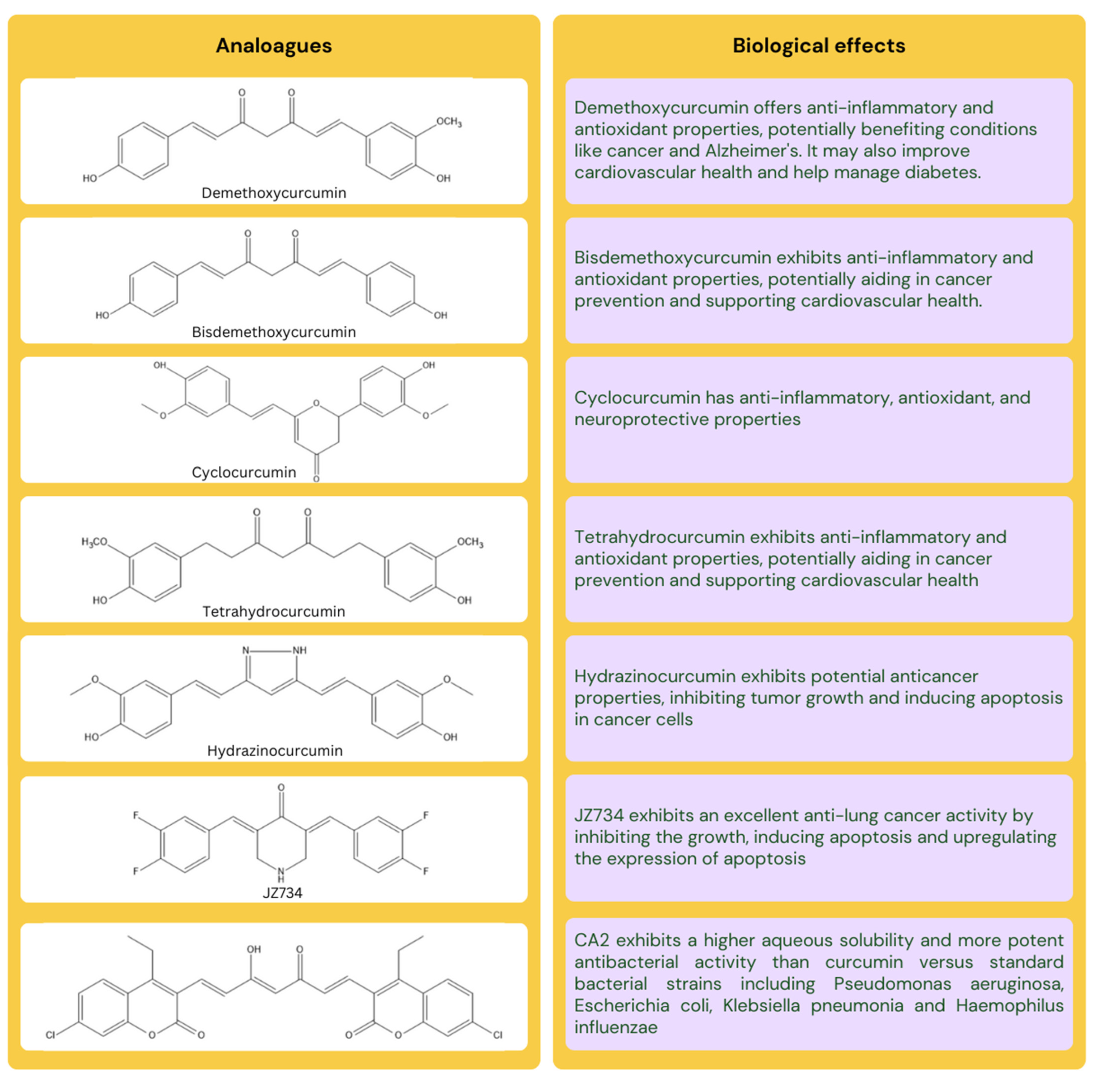 Nanomaterials 14 00672 g001