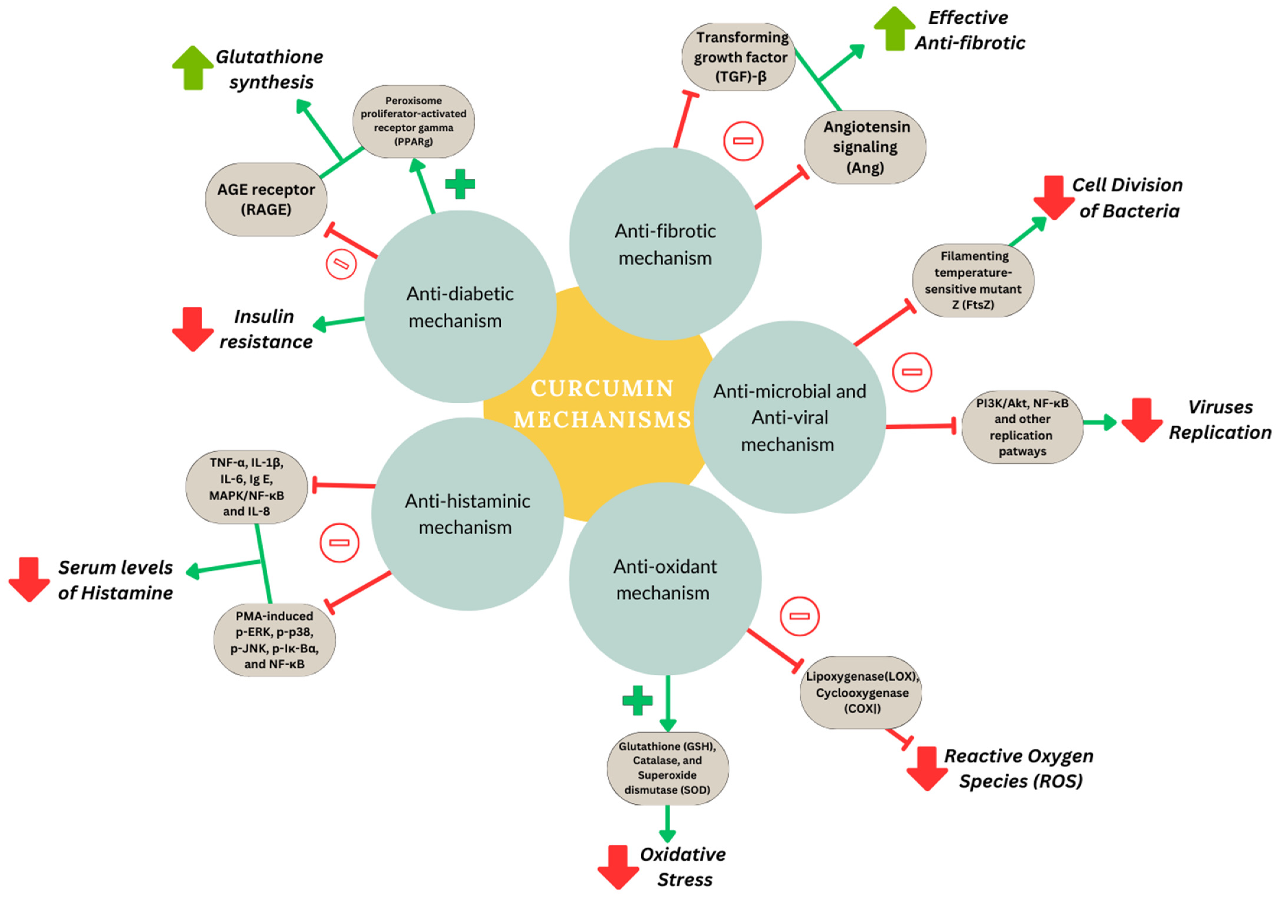 Nanomaterials 14 00672 g003