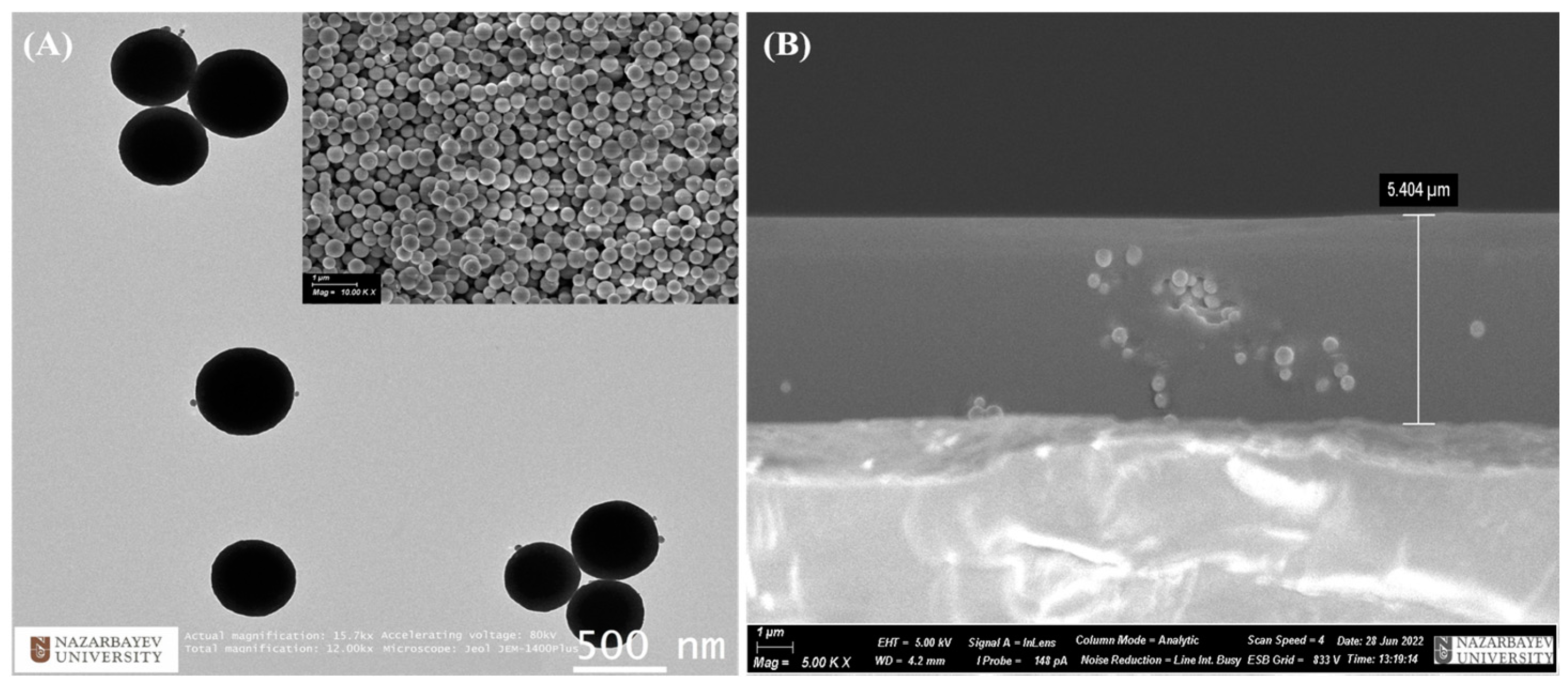 Nanomaterials 14 00674 g002