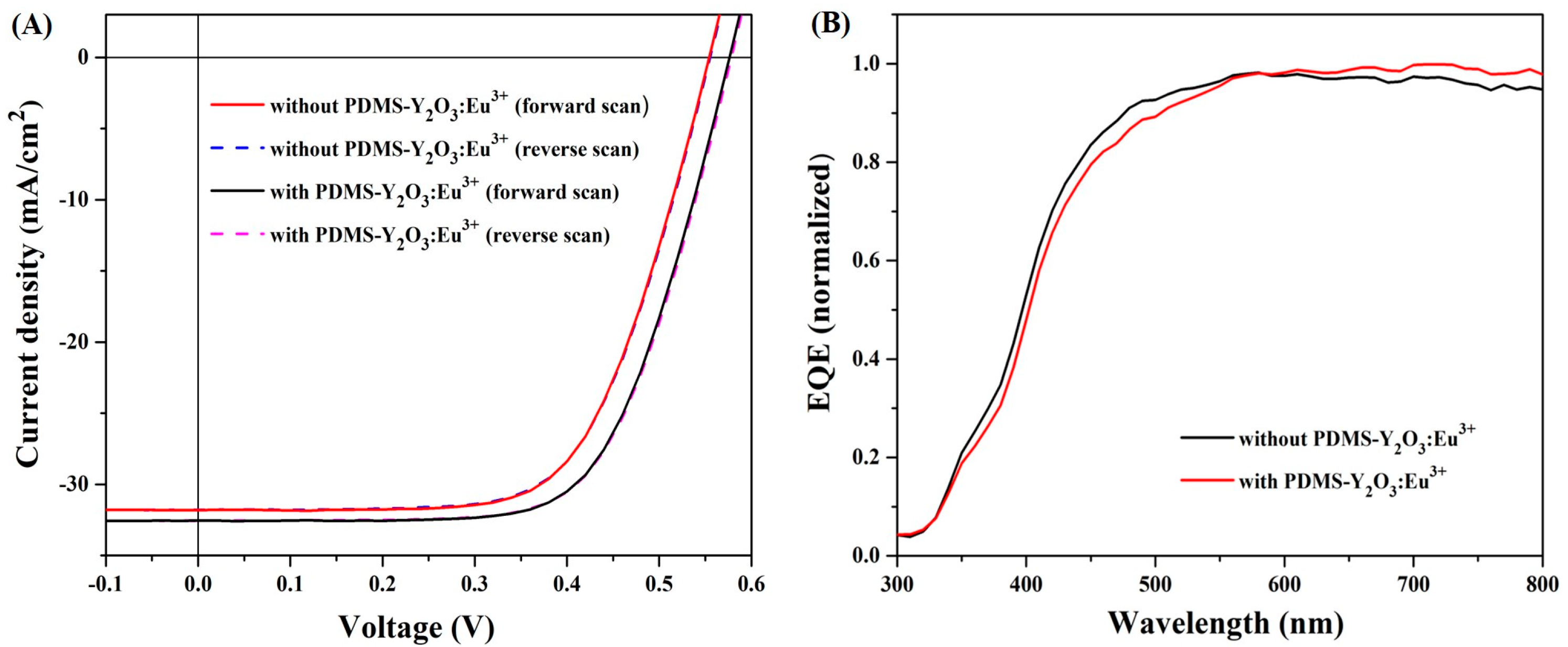 Nanomaterials 14 00674 g006