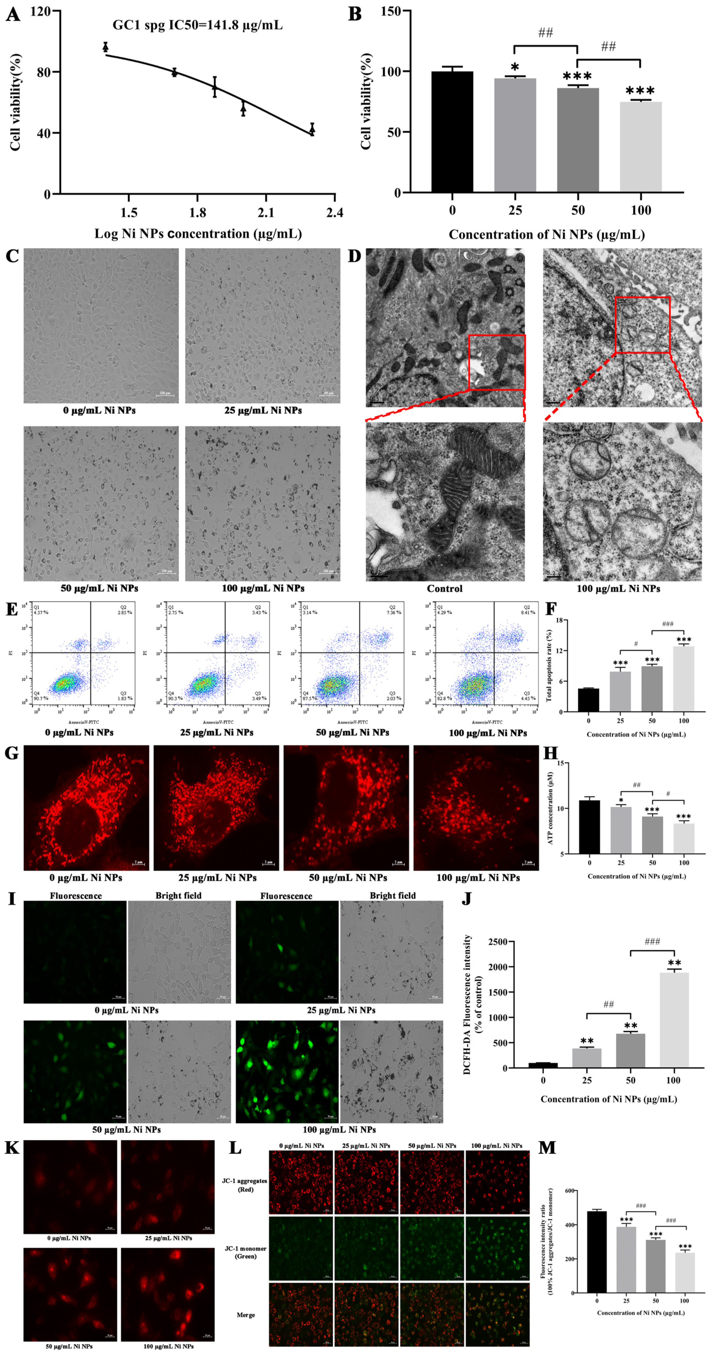 Nanomaterials 14 00689 g001