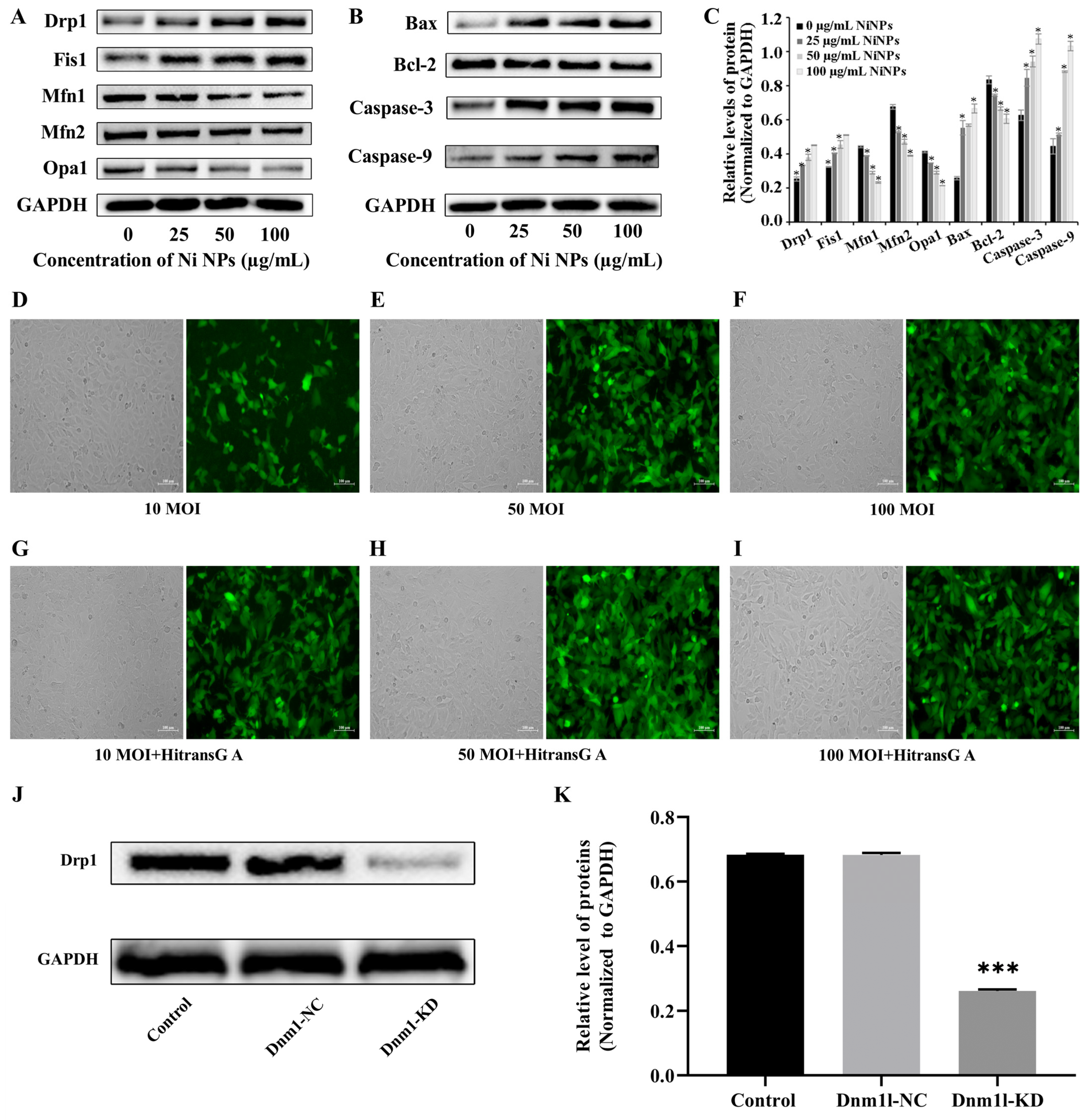 Nanomaterials 14 00689 g002