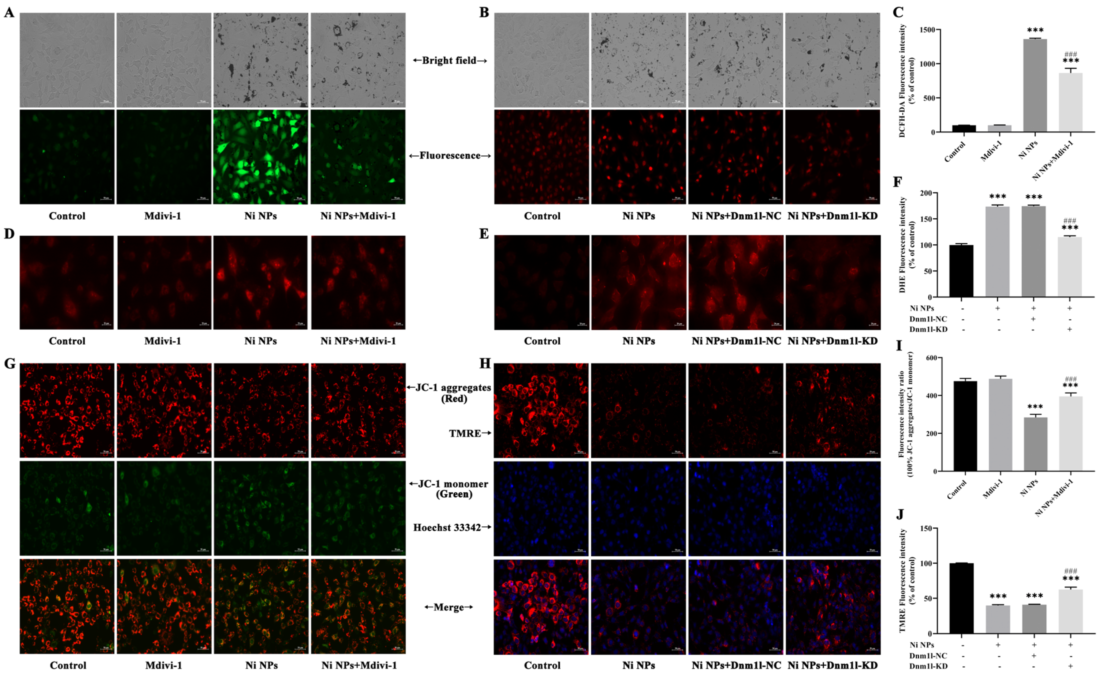 Nanomaterials 14 00689 g004