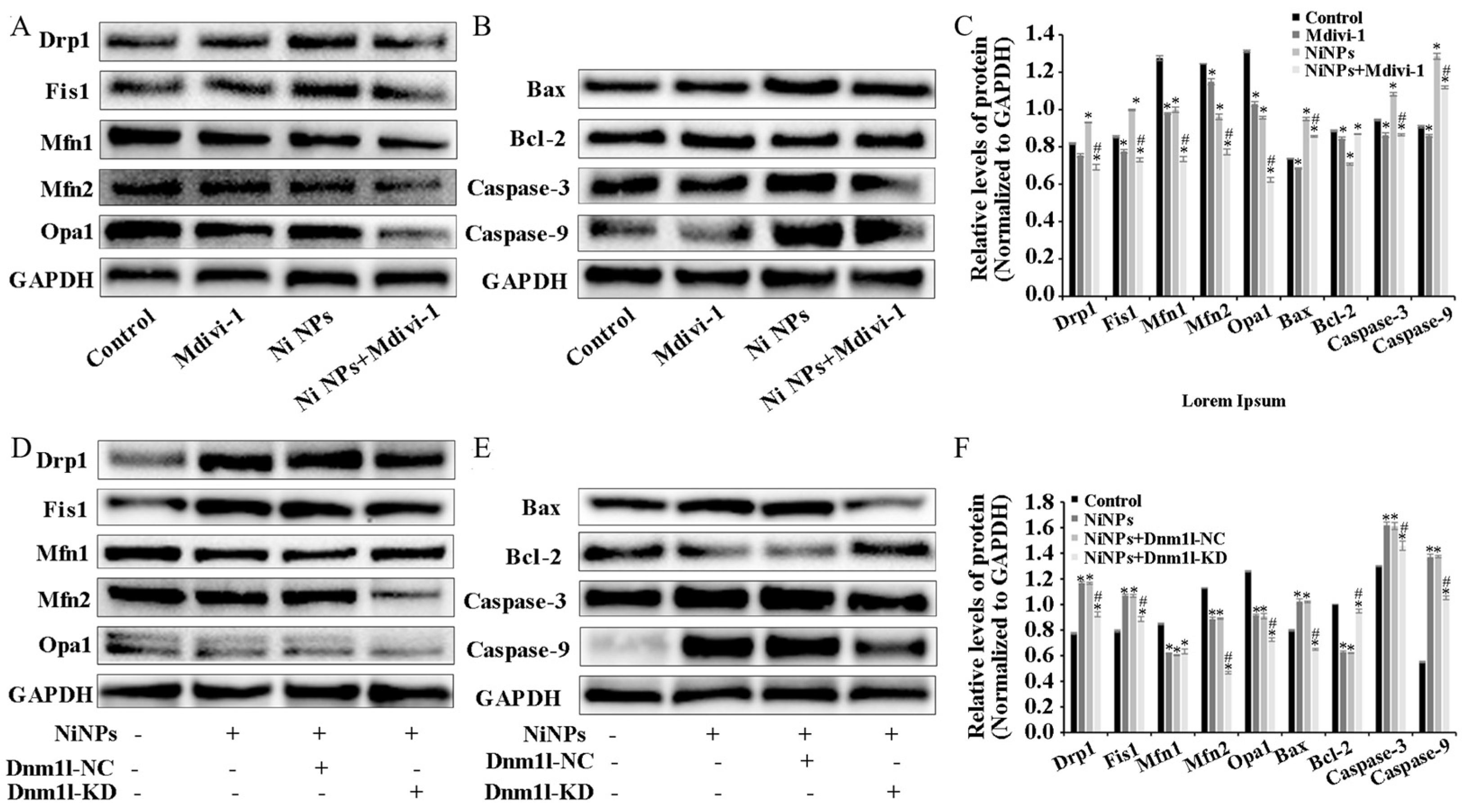 Nanomaterials 14 00689 g005