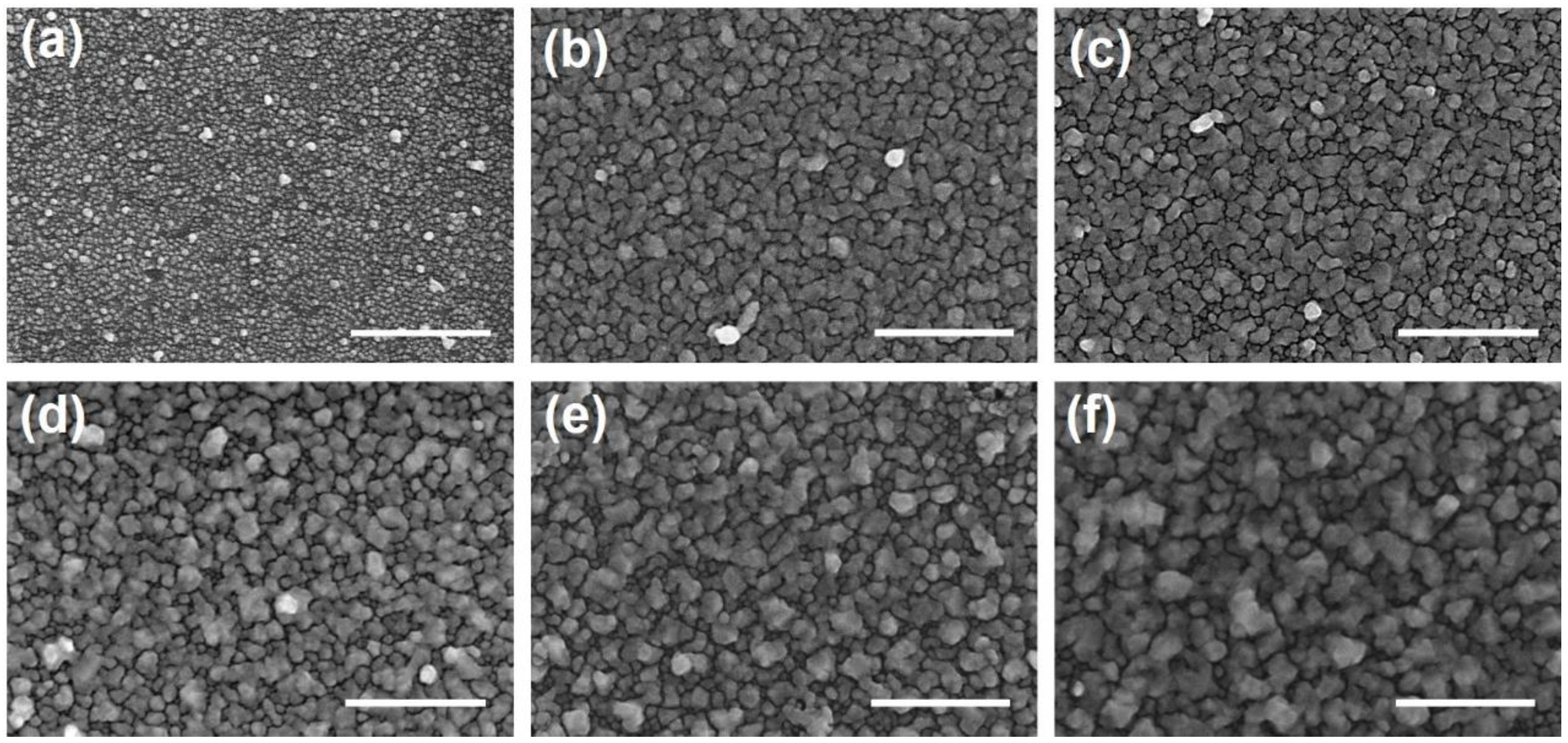 Nanomaterials 14 00695 g001