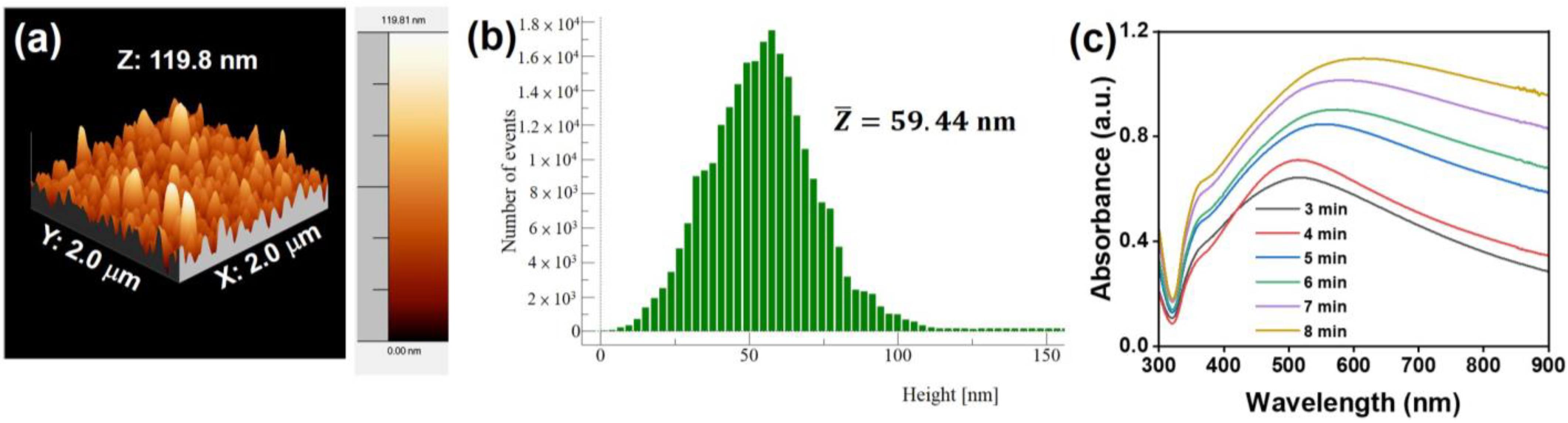 Nanomaterials 14 00695 g002