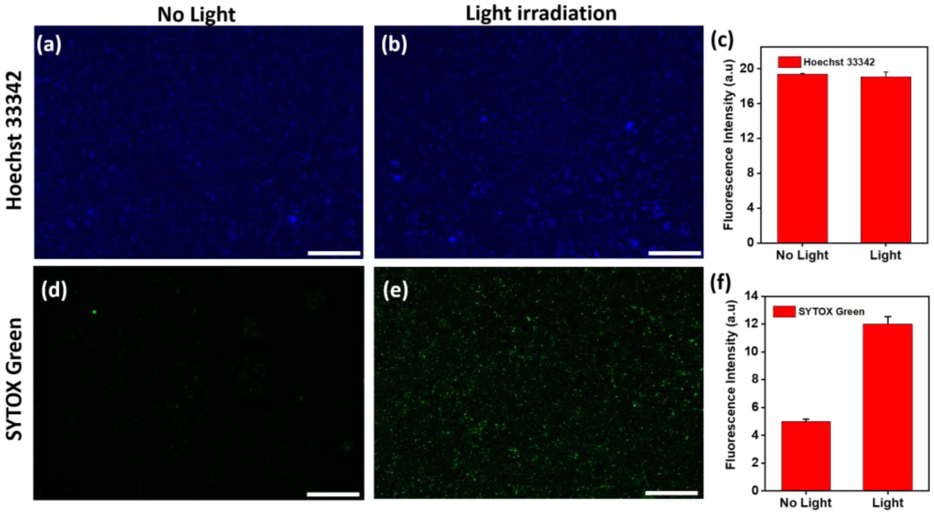 Nanomaterials 14 00695 g005
