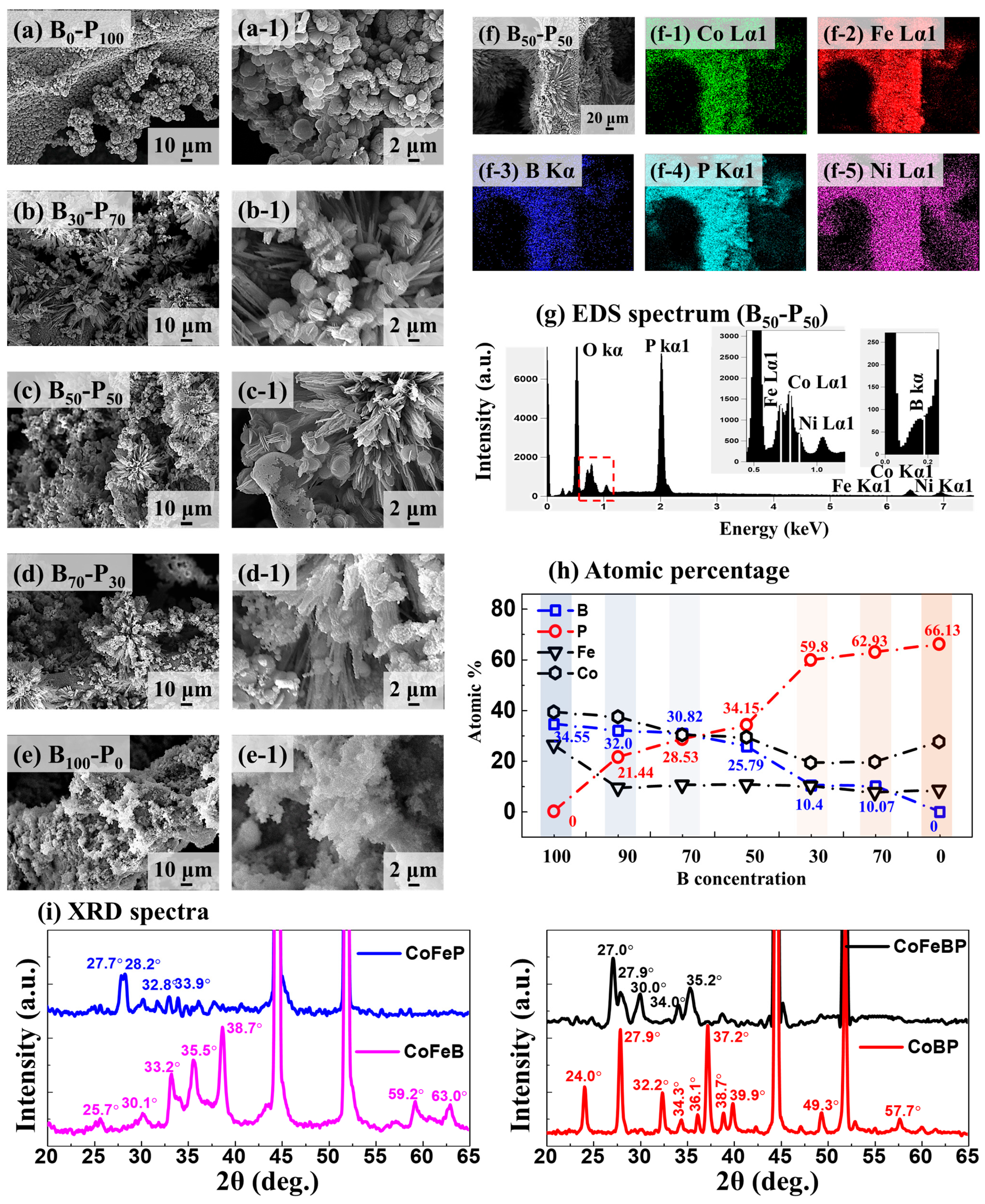 Nanomaterials 14 00698 g001
