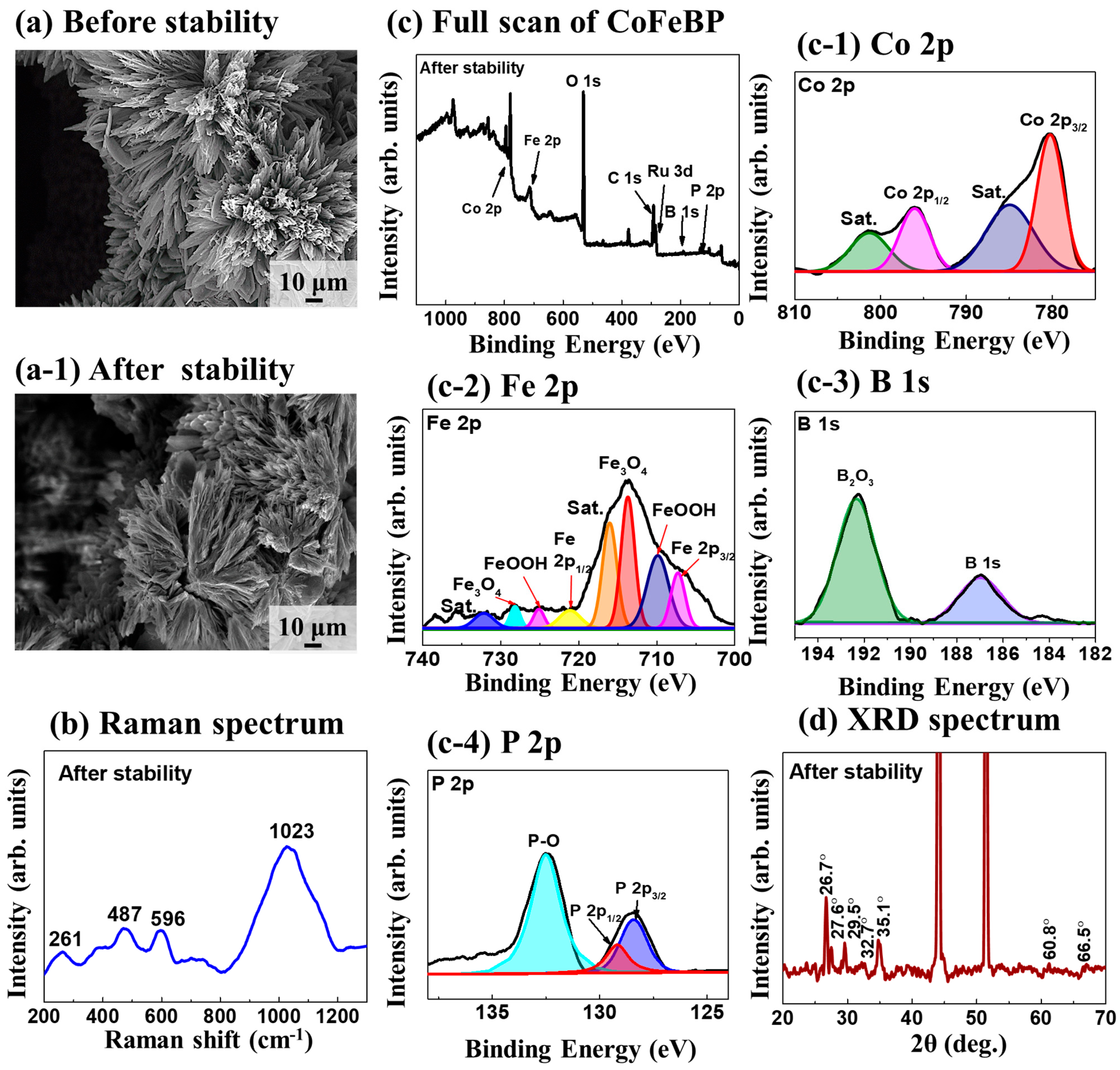 Nanomaterials 14 00698 g007