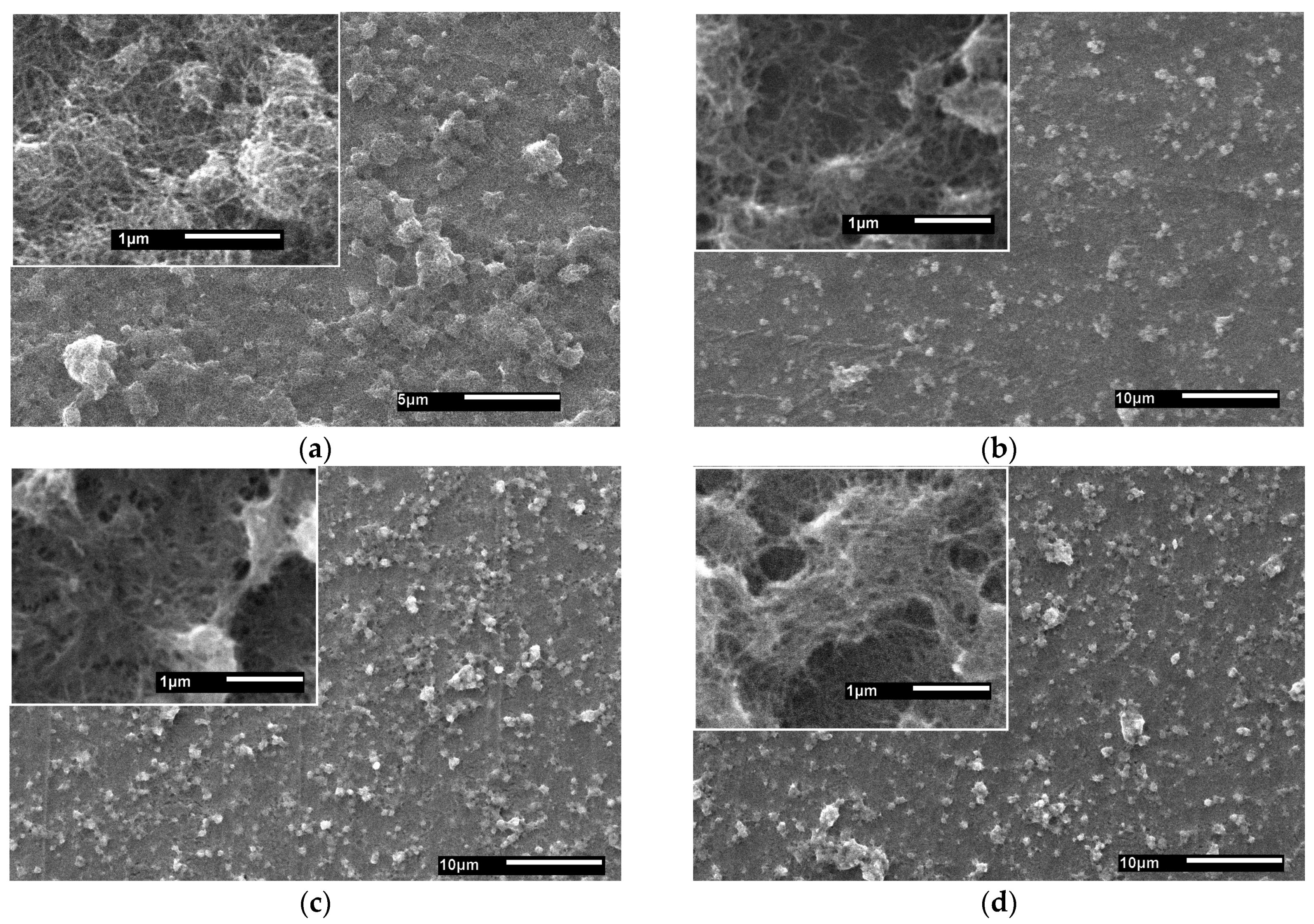 Nanomaterials 14 00699 g001