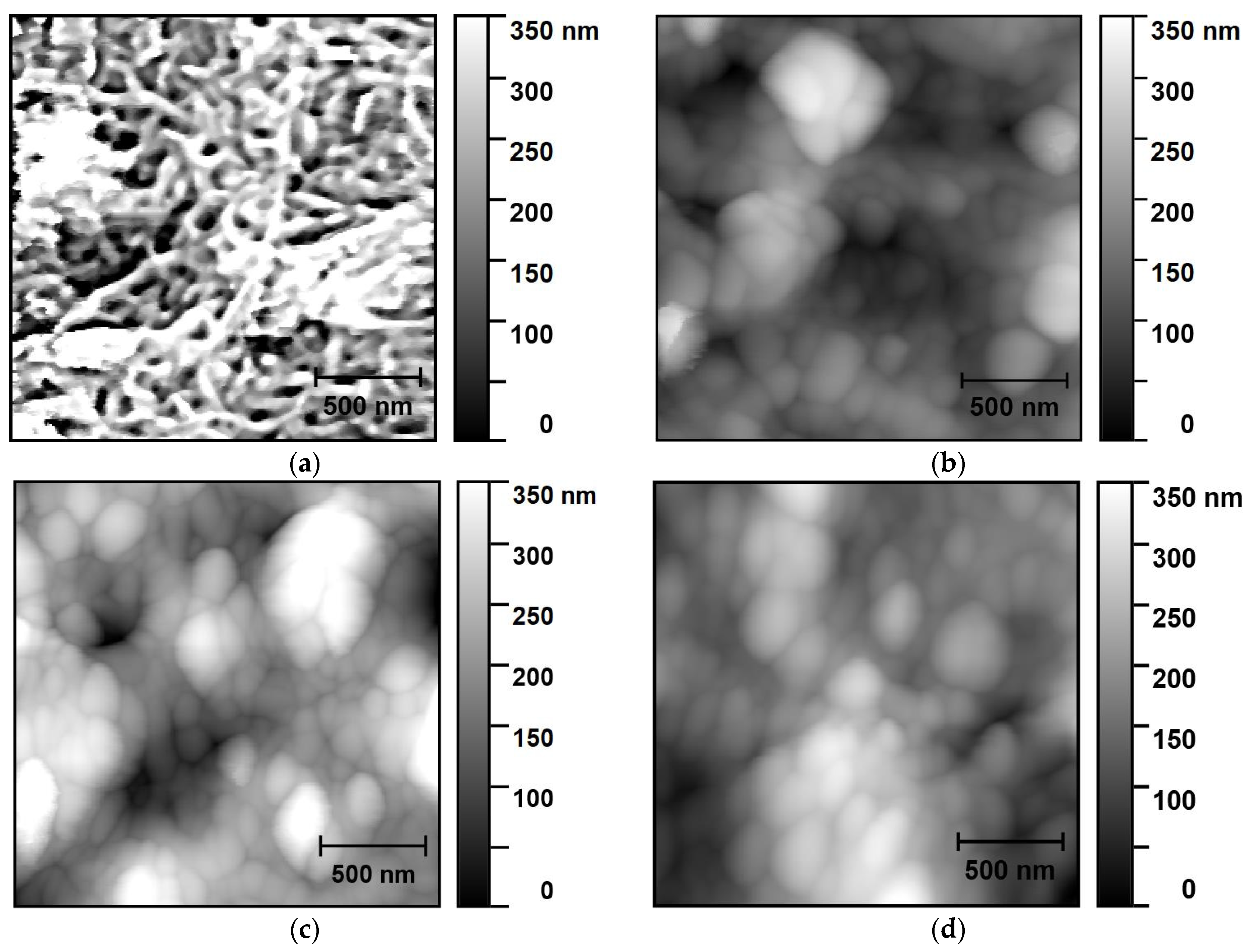 Nanomaterials 14 00699 g002