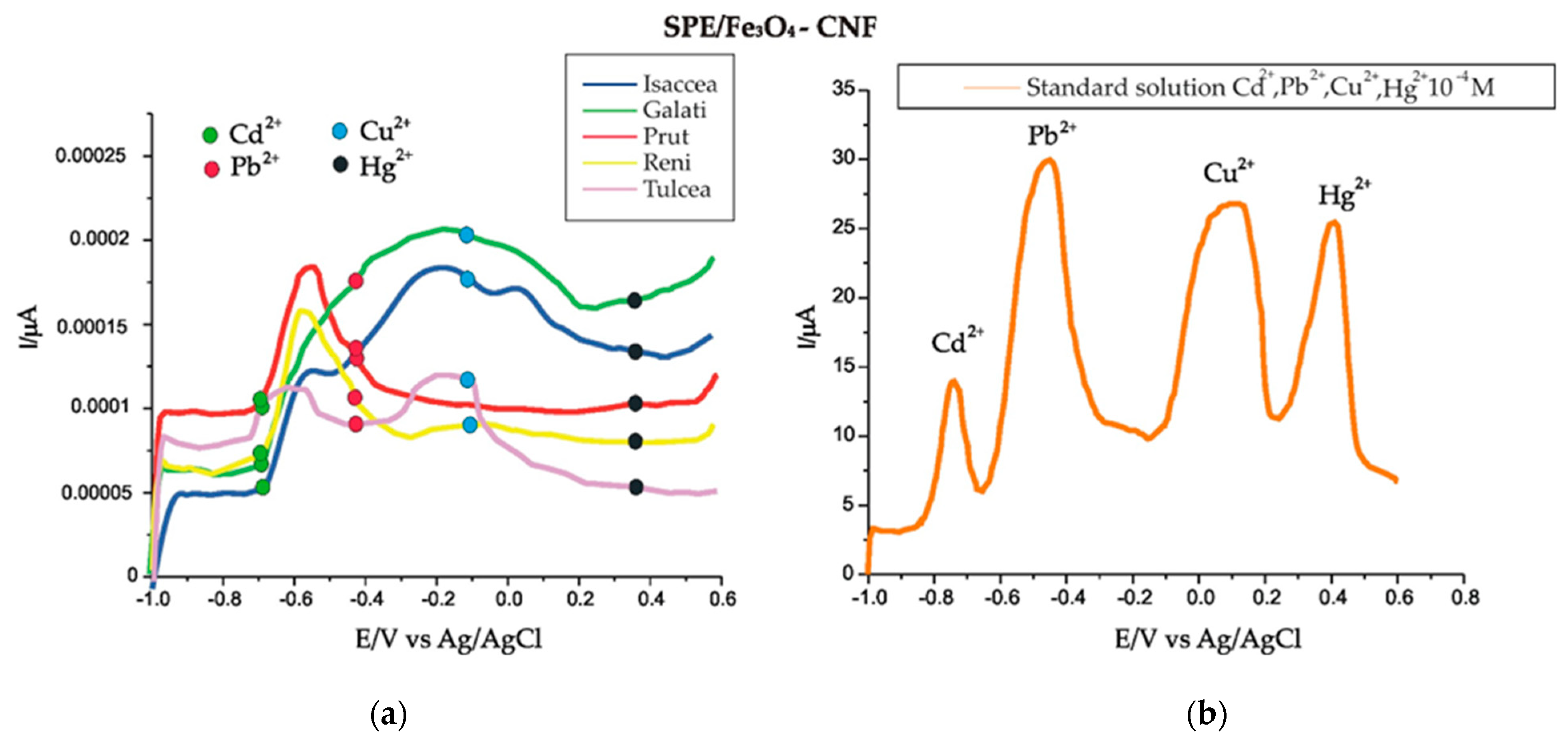 Nanomaterials 14 00702 g011