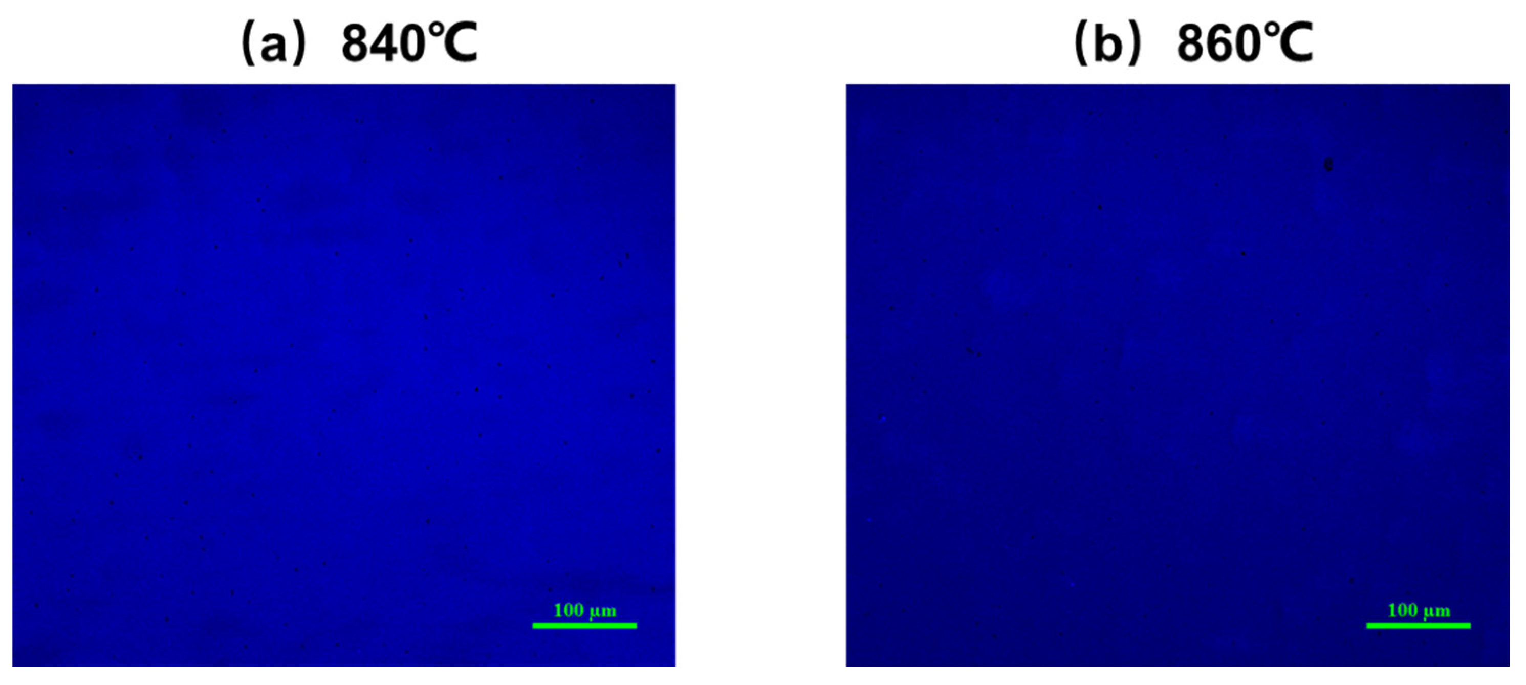 Nanomaterials 14 00703 g011