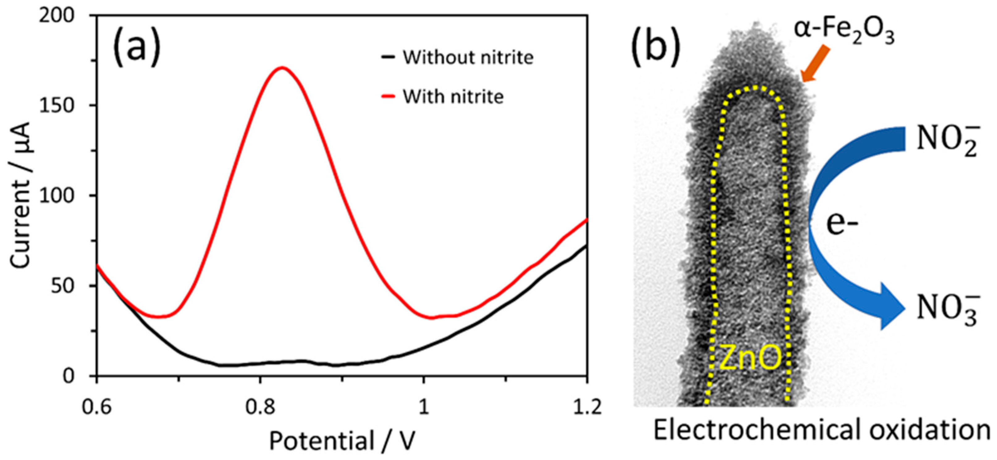 Nanomaterials 14 00706 g006