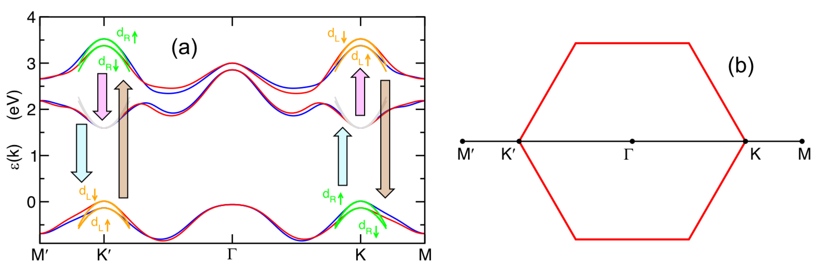 Nanomaterials 14 00707 g001
