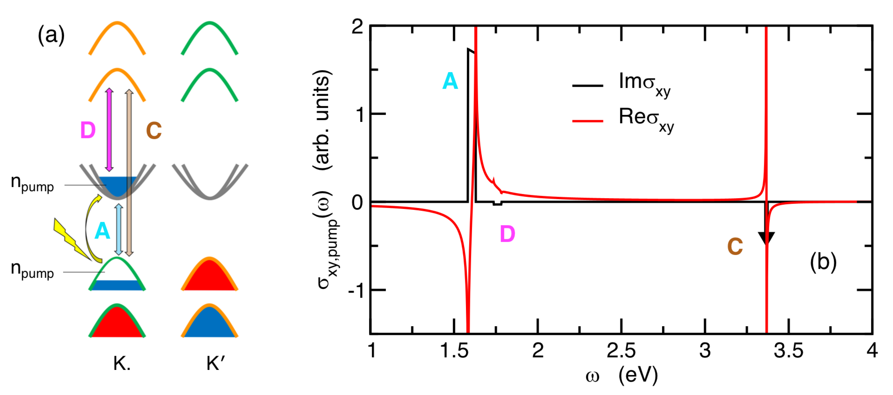 Nanomaterials 14 00707 g003