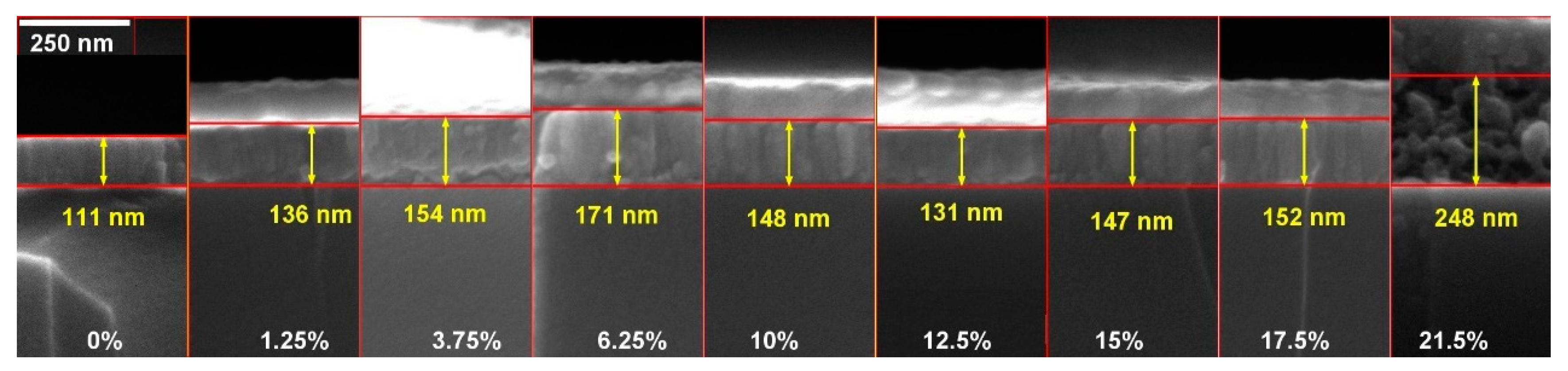 Nanomaterials 14 00708 g010