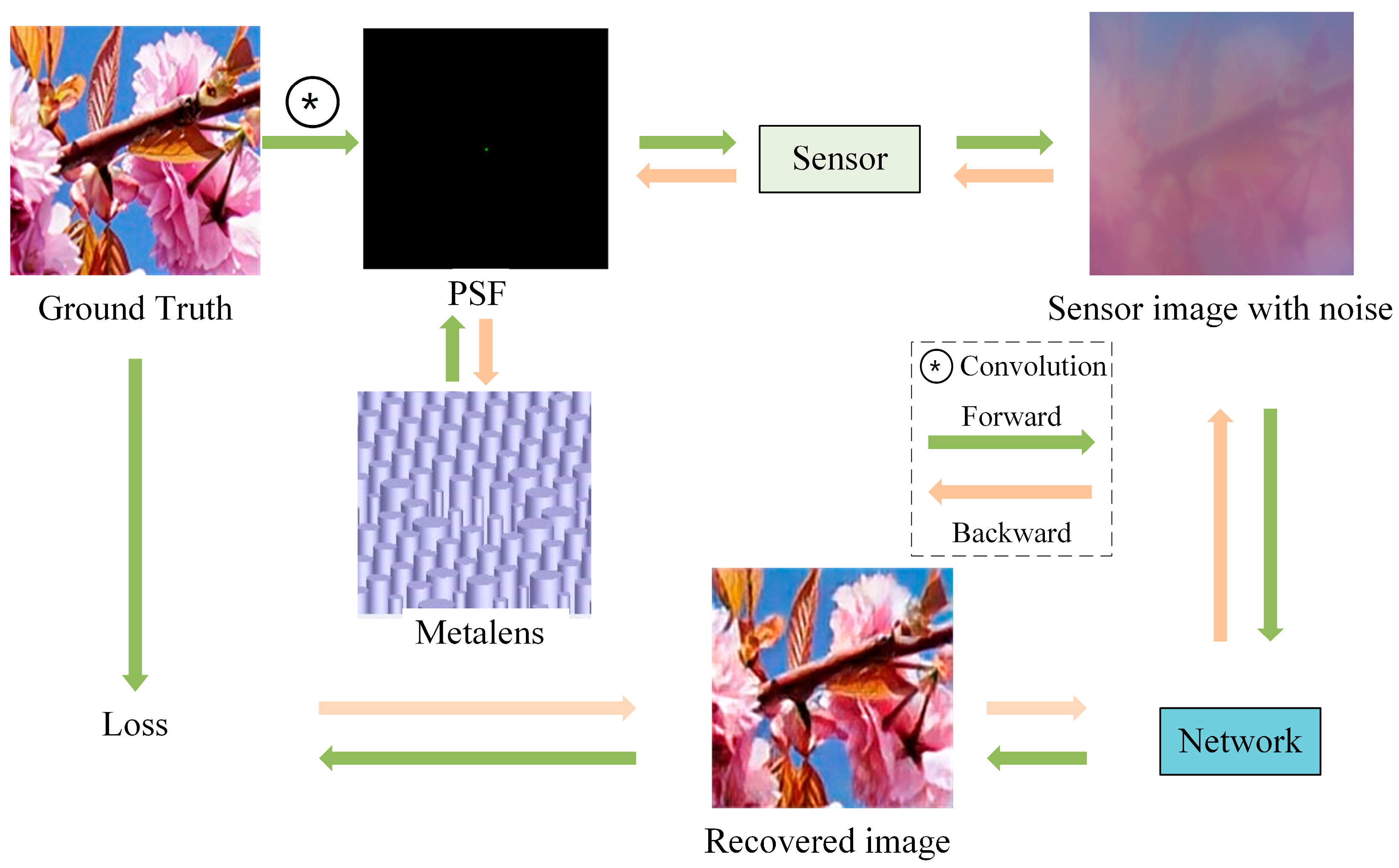 Nanomaterials 14 00715 g001