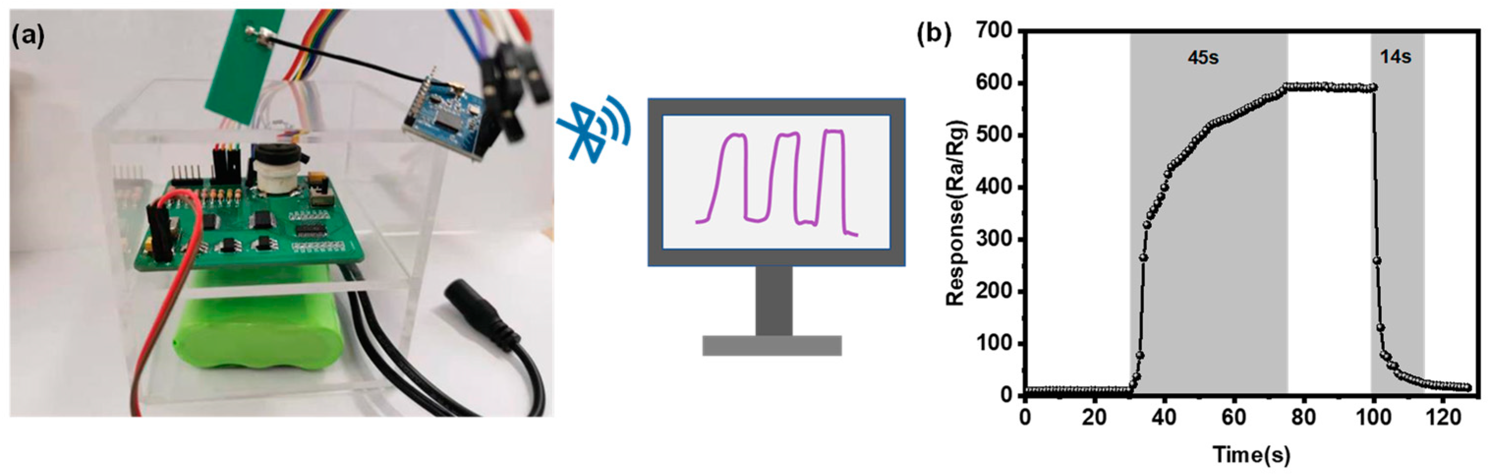 Nanomaterials 14 00719 g005