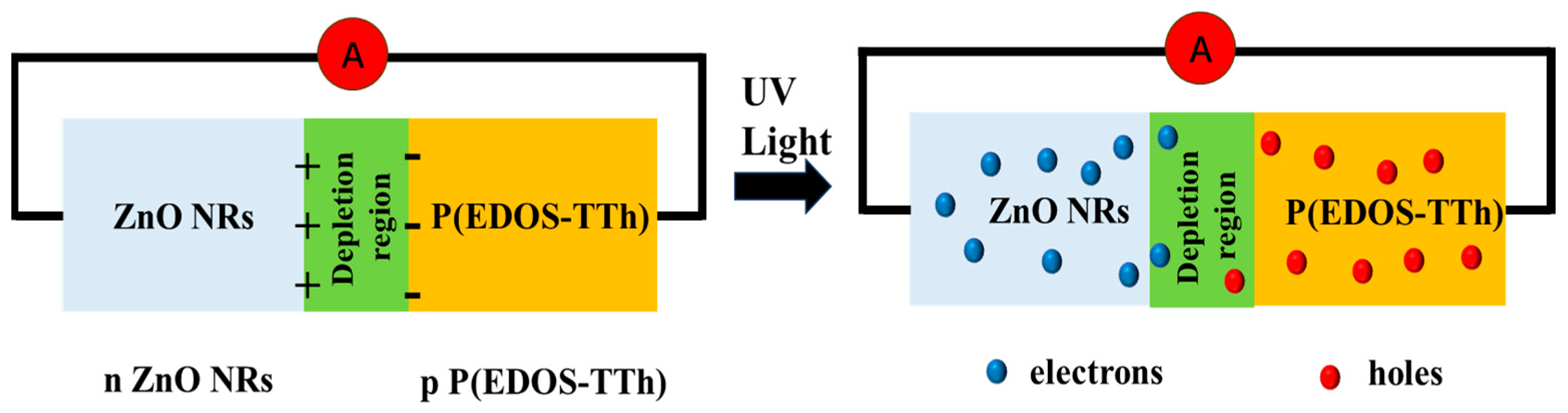 Nanomaterials 14 00720 g009