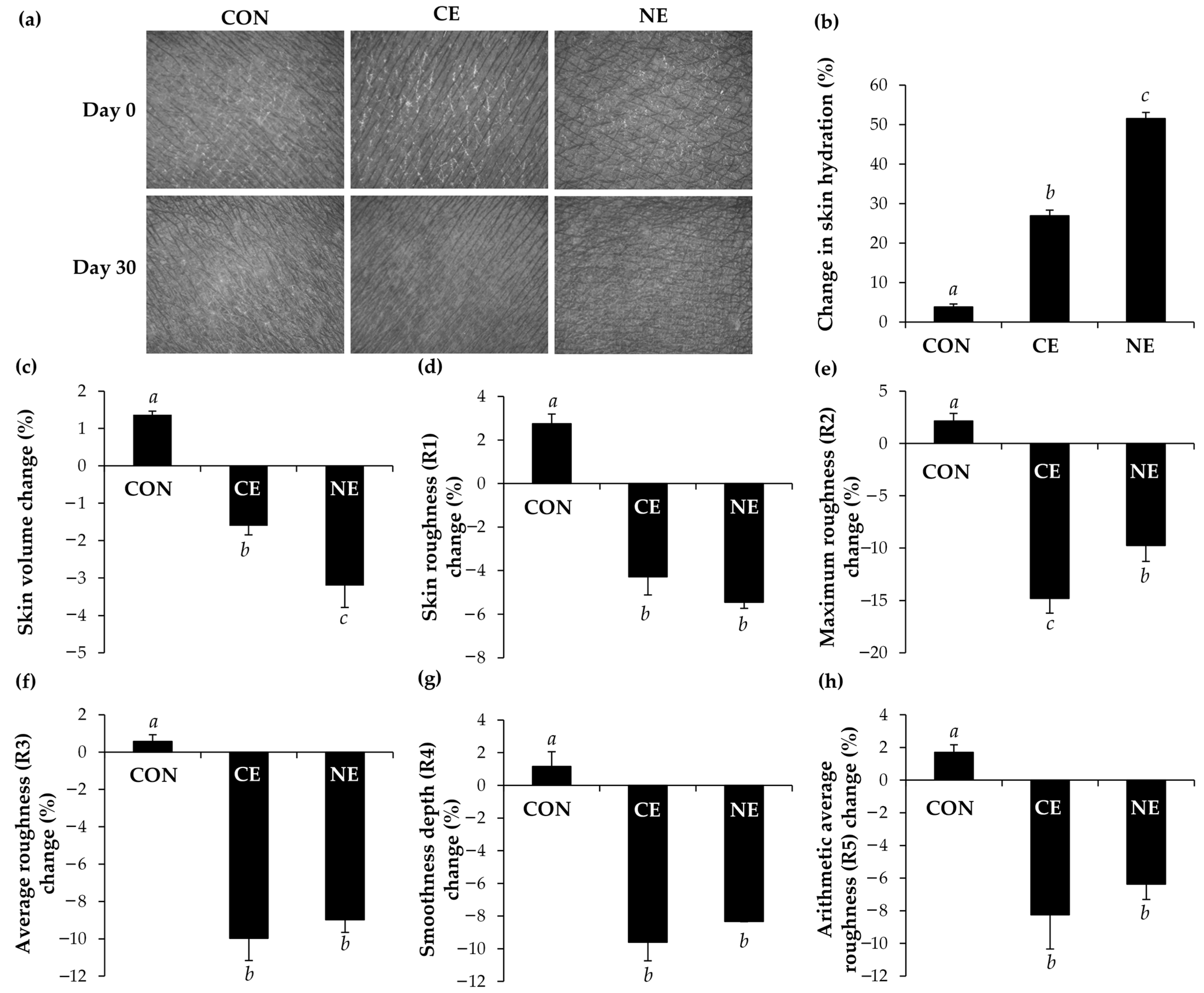 Nanomaterials 14 00724 g006