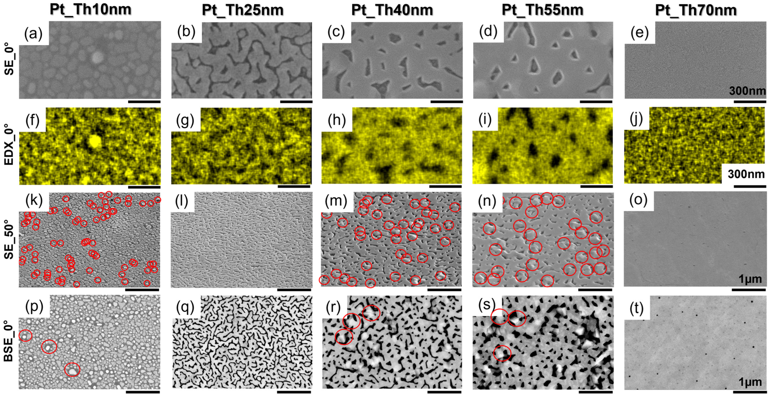 Nanomaterials 14 00725 g002