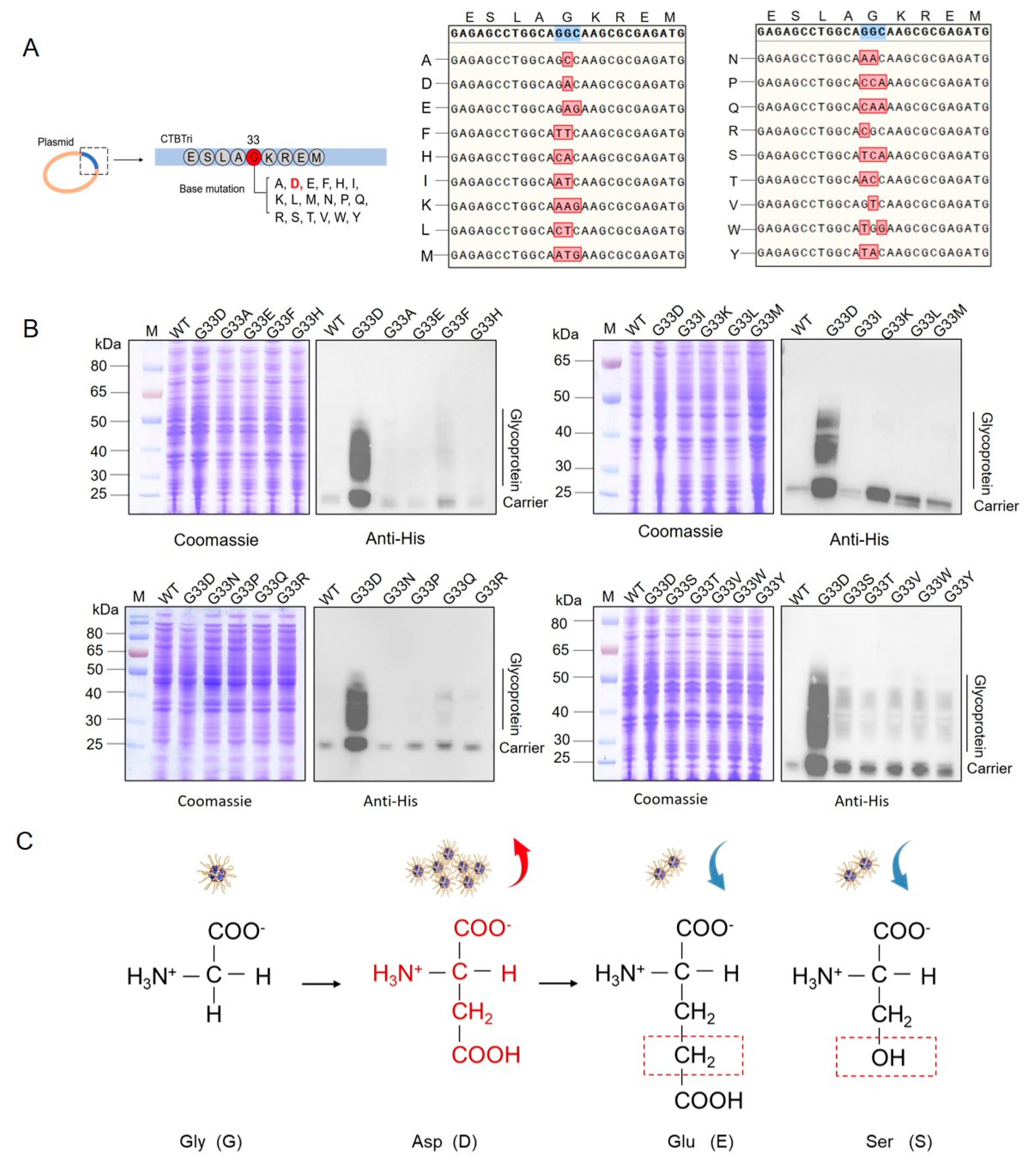 Nanomaterials 14 00728 g002
