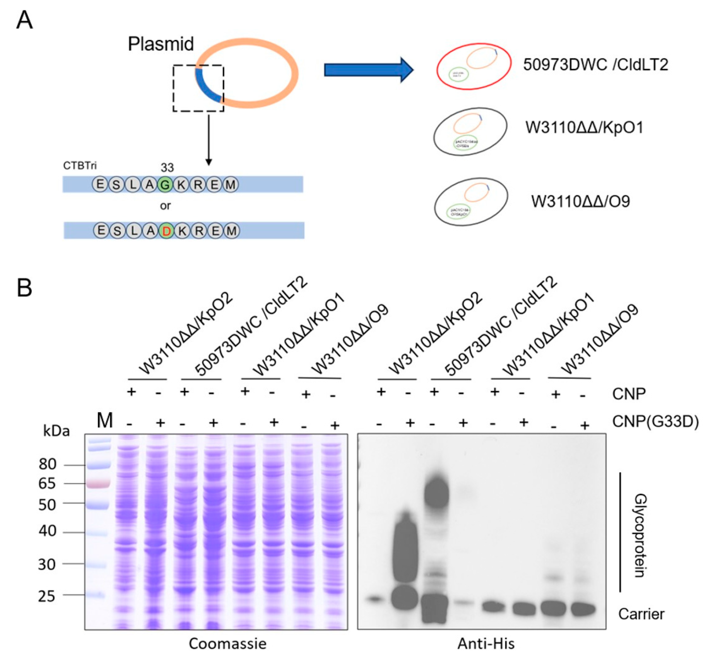 Nanomaterials 14 00728 g004