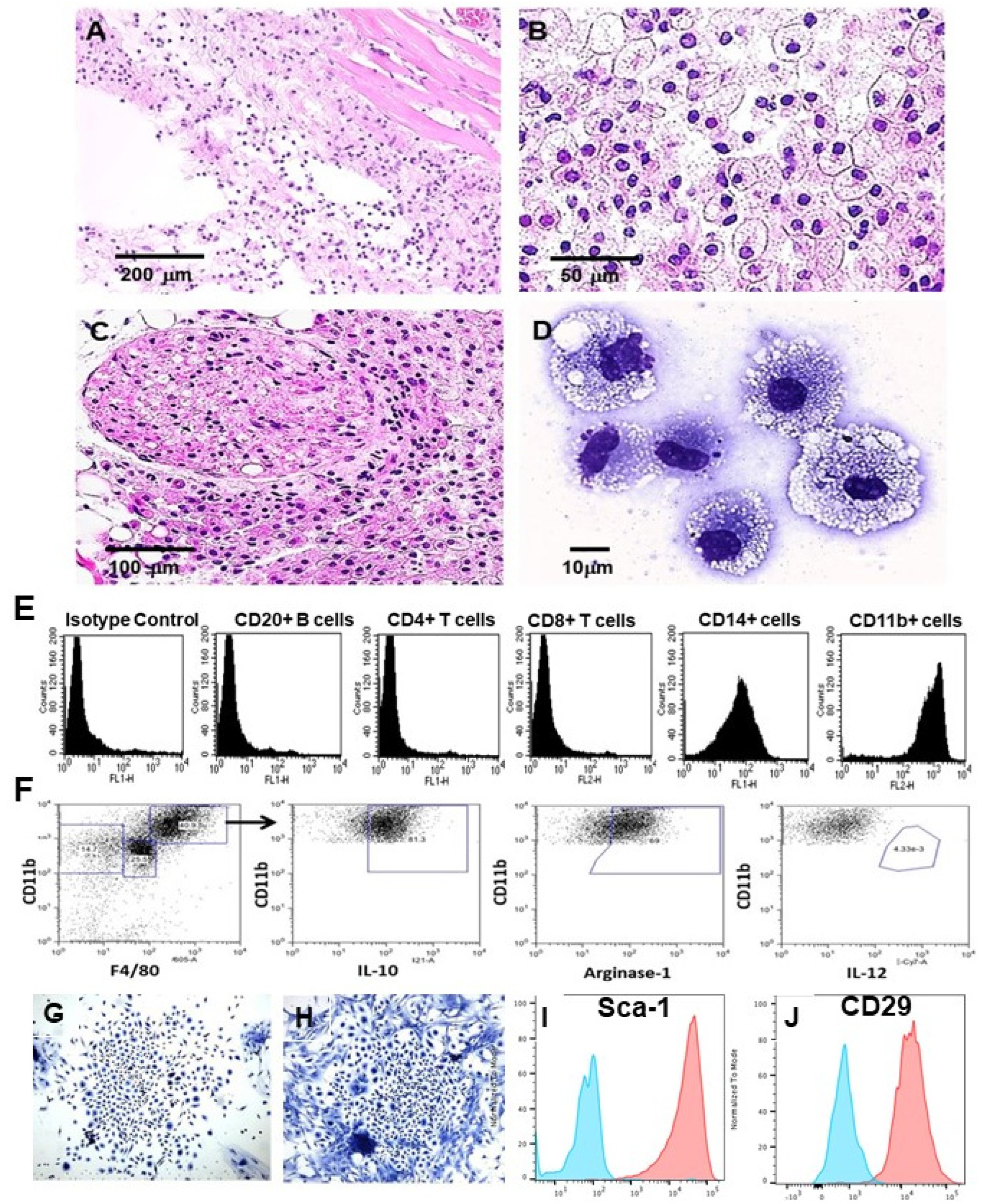 Nanomaterials 14 00730 g002