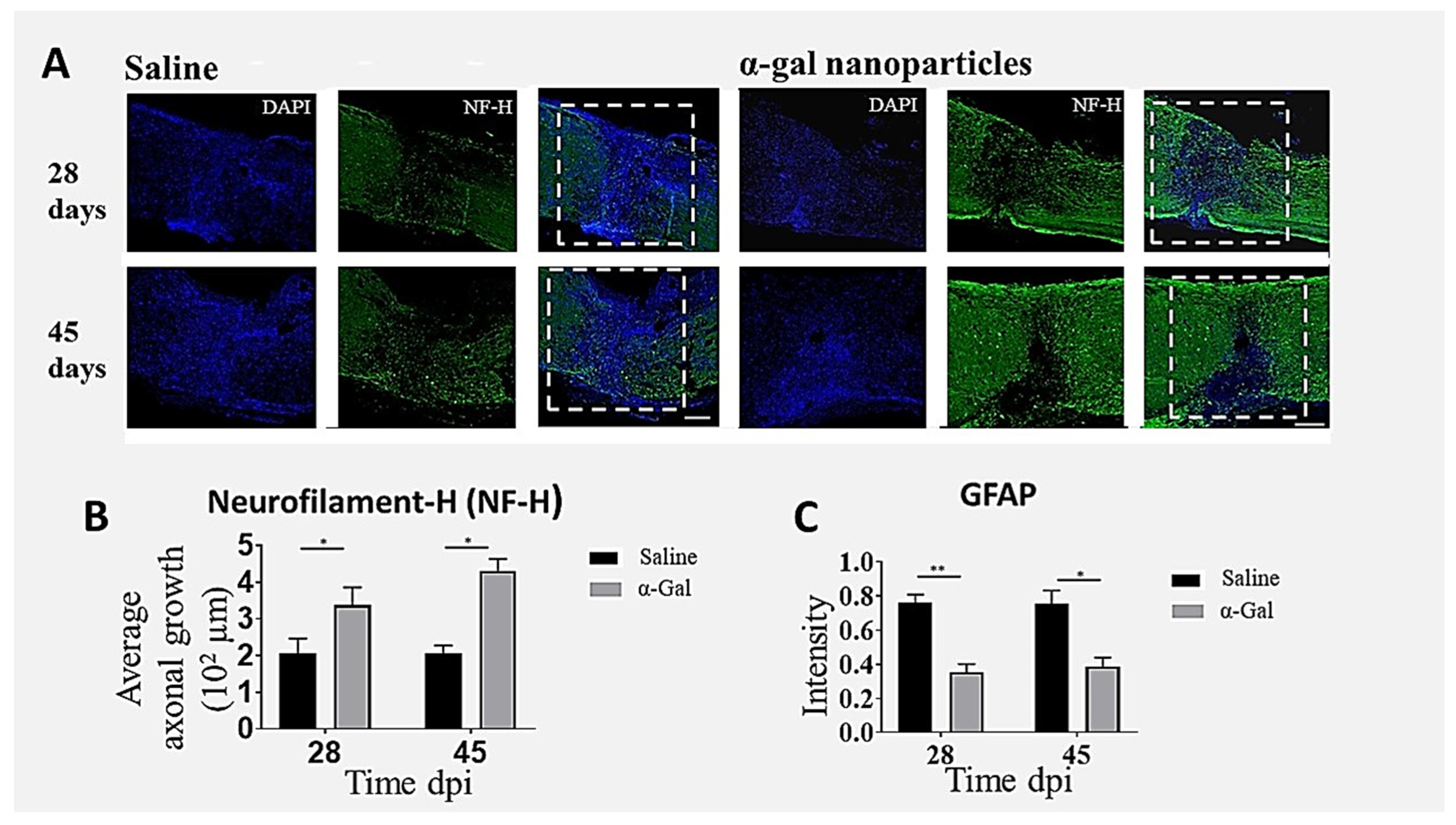 Nanomaterials 14 00730 g006
