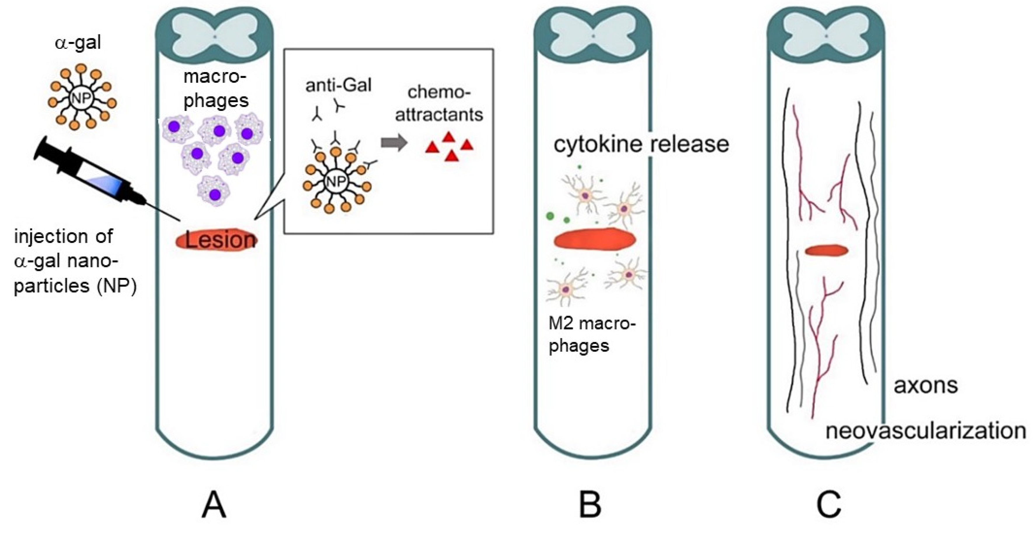 Nanomaterials 14 00730 g007
