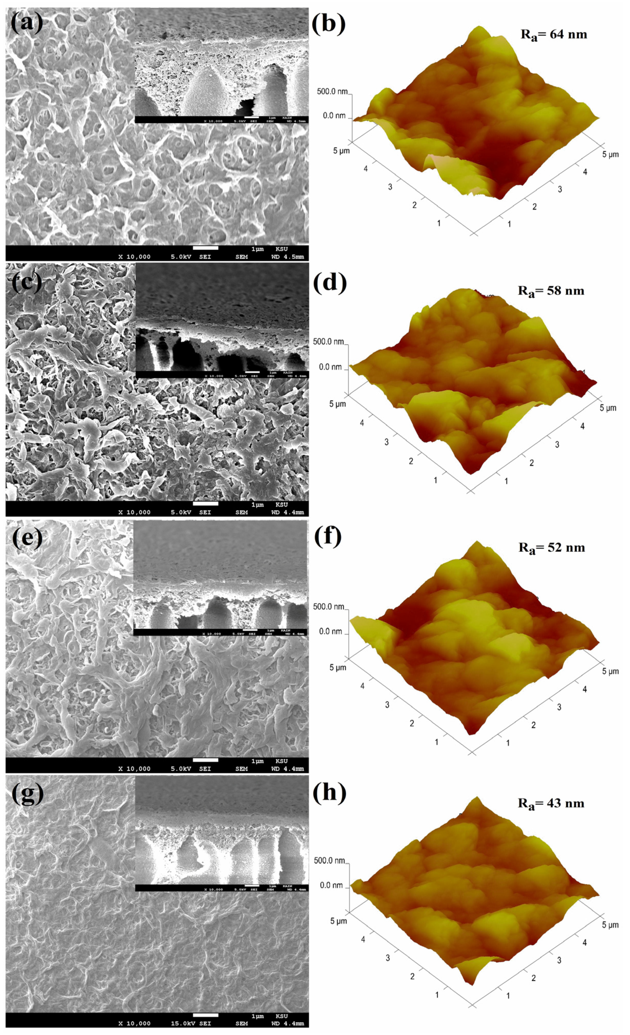 Nanomaterials 14 00731 g004