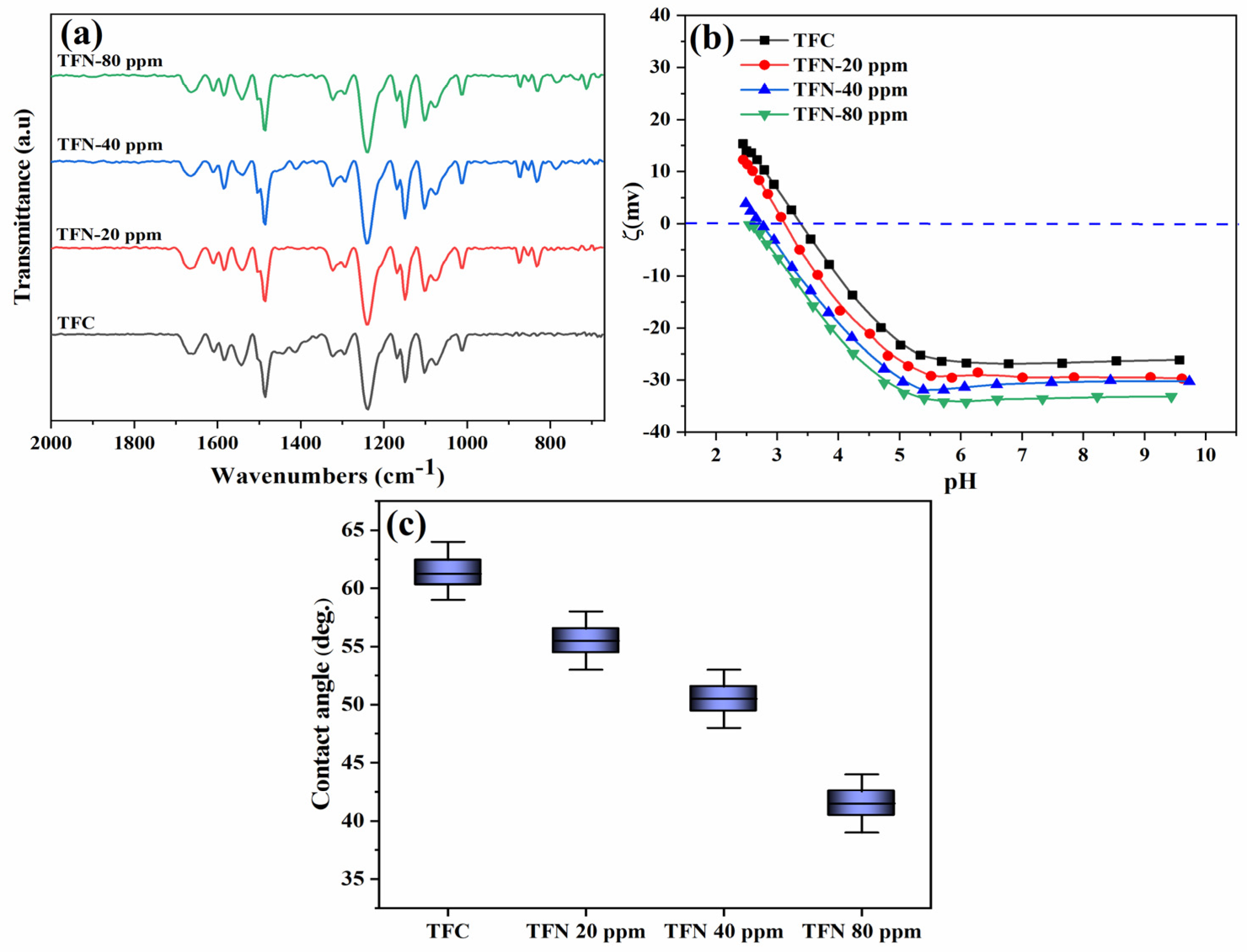 Nanomaterials 14 00731 g006