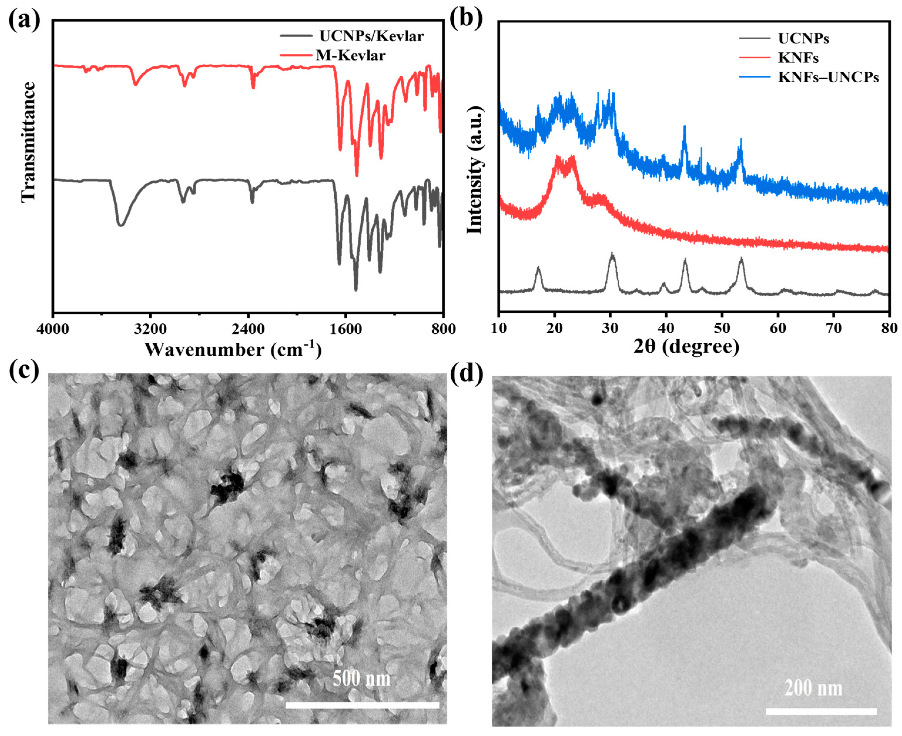 Nanomaterials 14 00740 g004