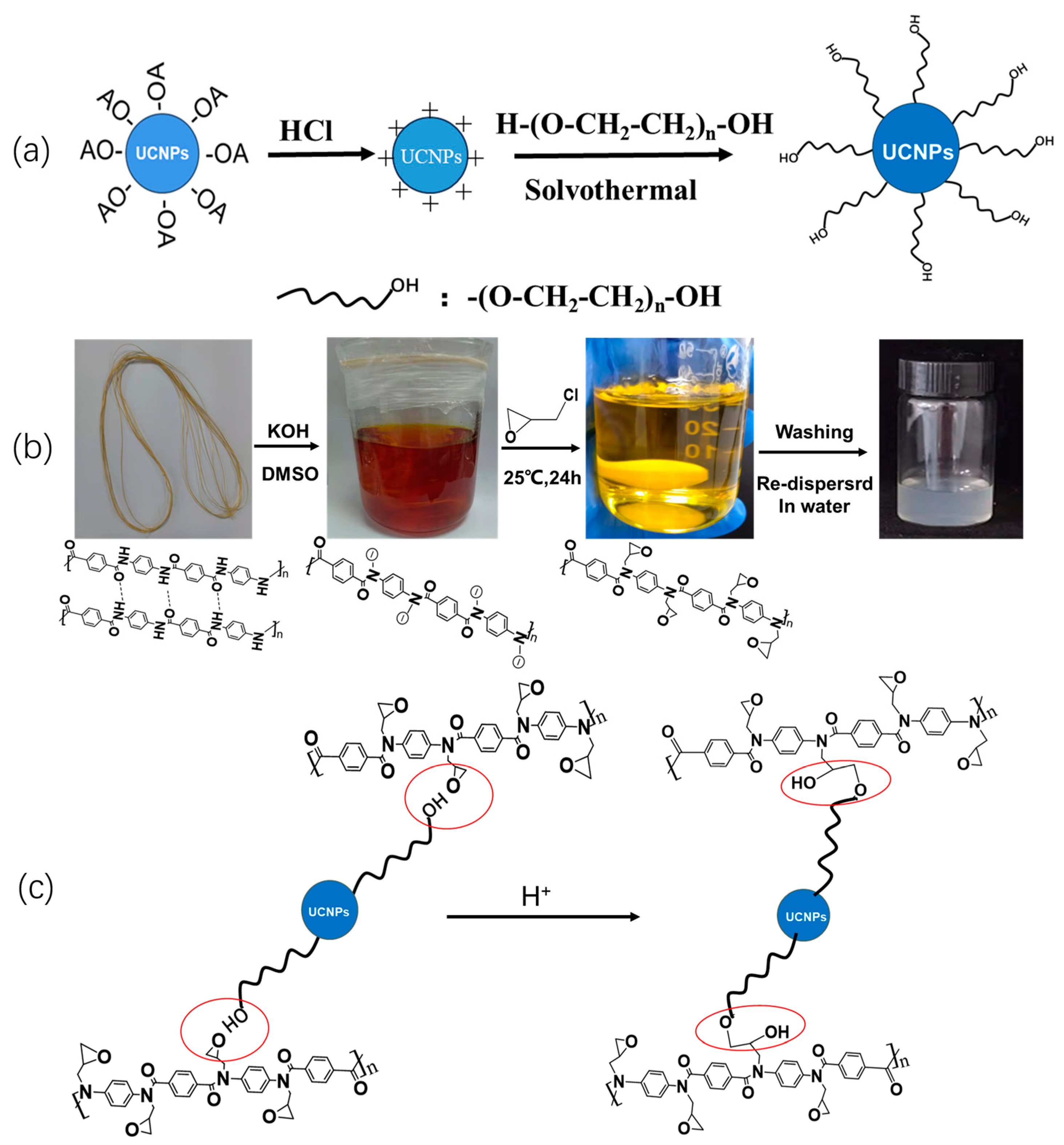 Nanomaterials 14 00740 sch001