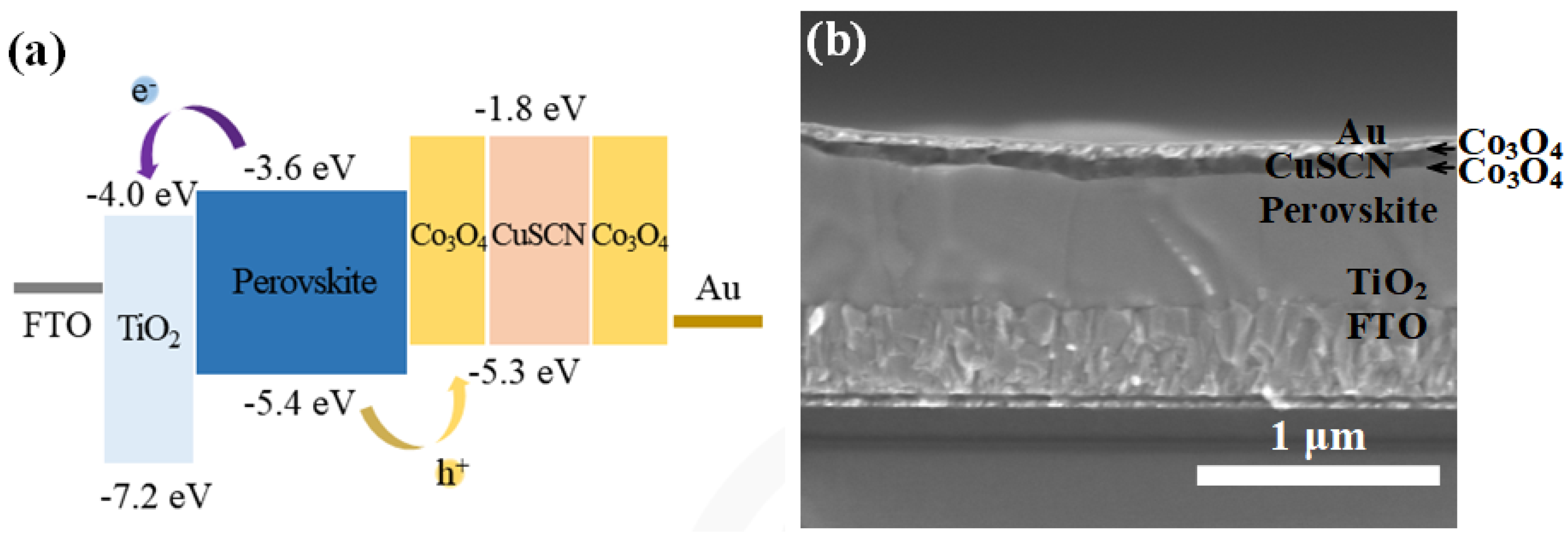 Nanomaterials 14 00742 g001