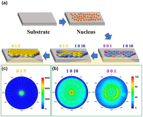 リコ Covalent–Organic Framework-Based Materials in Theranostic