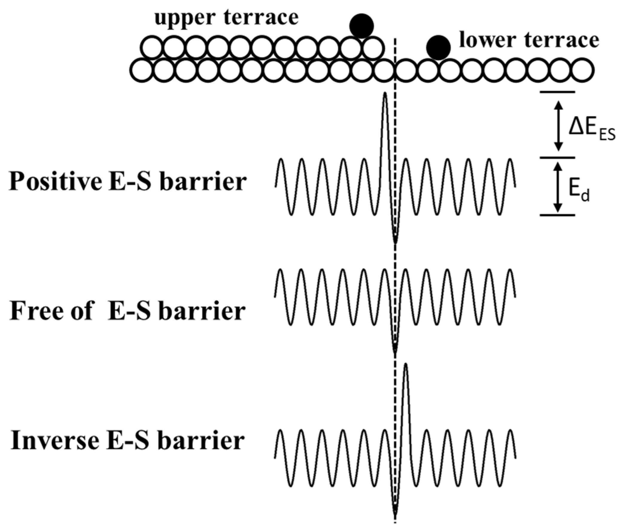 Nanomaterials 14 00748 g001
