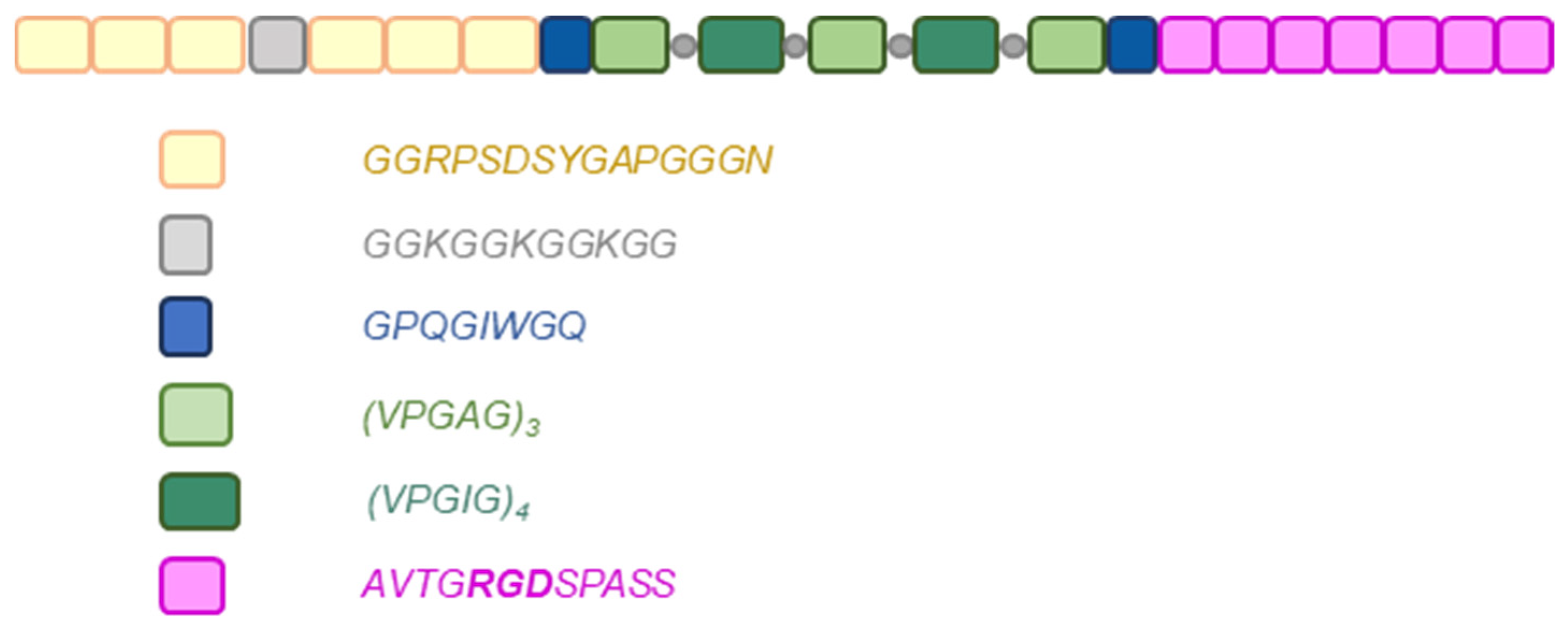 Nanomaterials 14 00749 g001