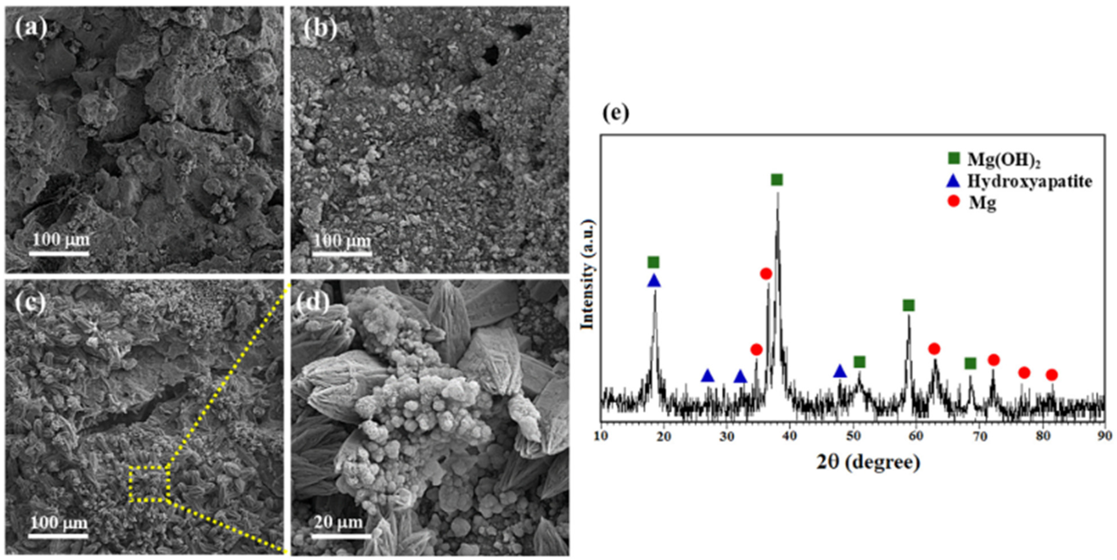 Nanomaterials 14 00756 g004
