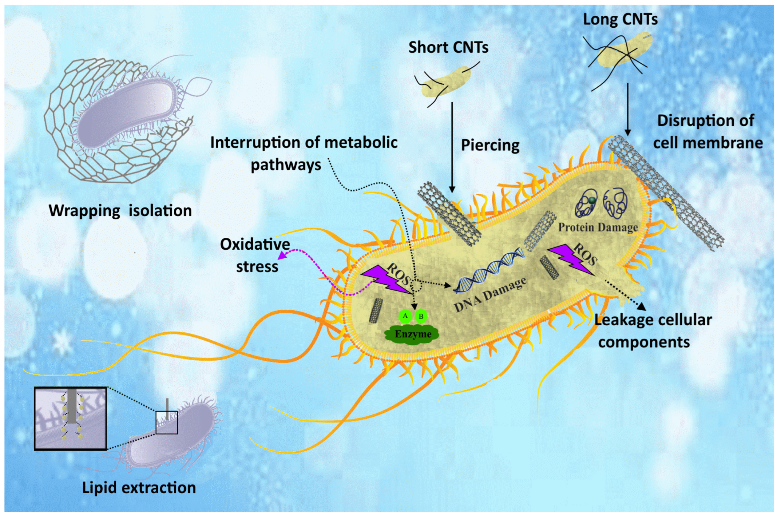 Nanomaterials 14 00756 g005
